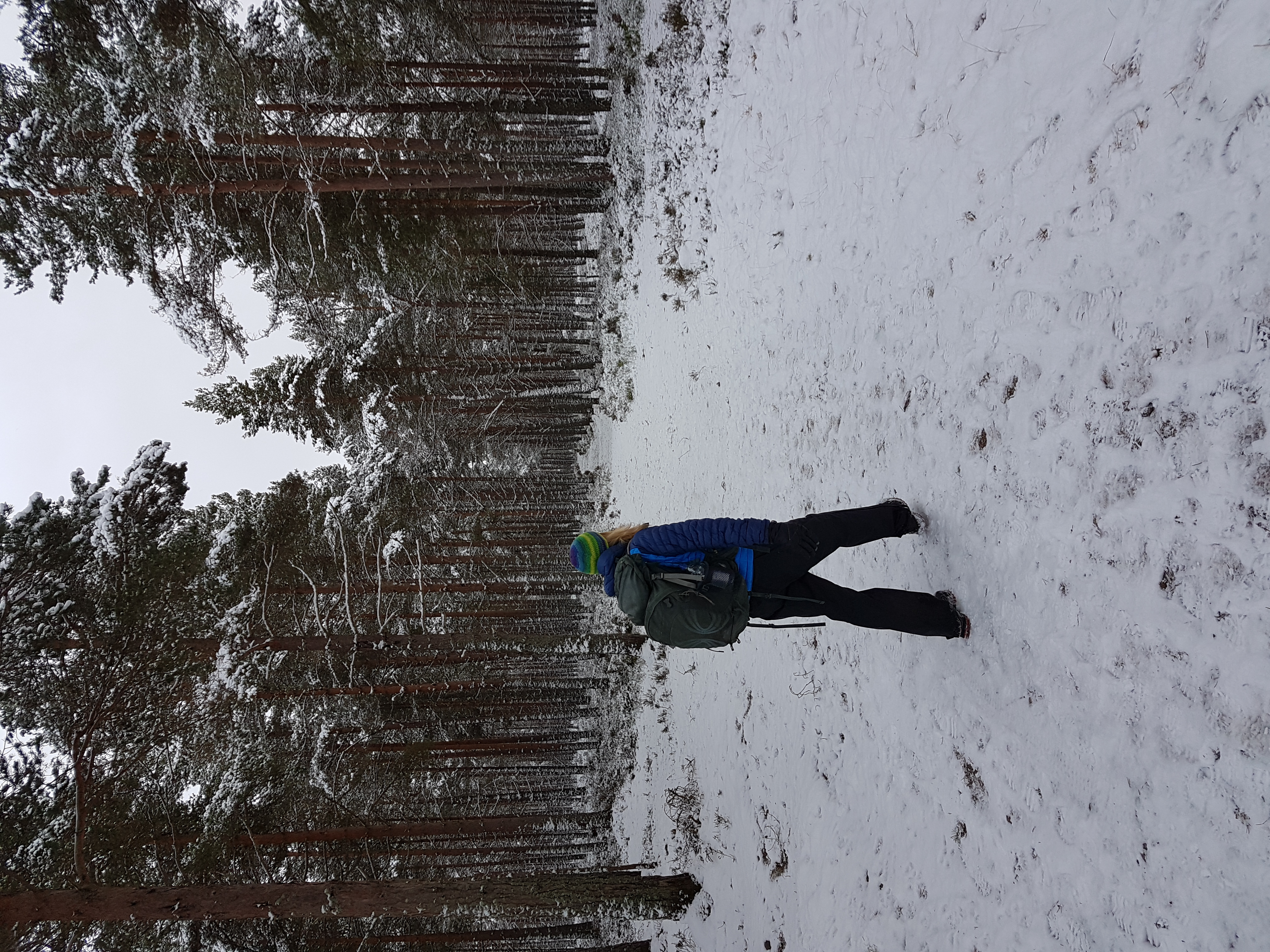 8 Days / 7 nights - New Year Cairngorms Winter Walking Adventure - Photo 2