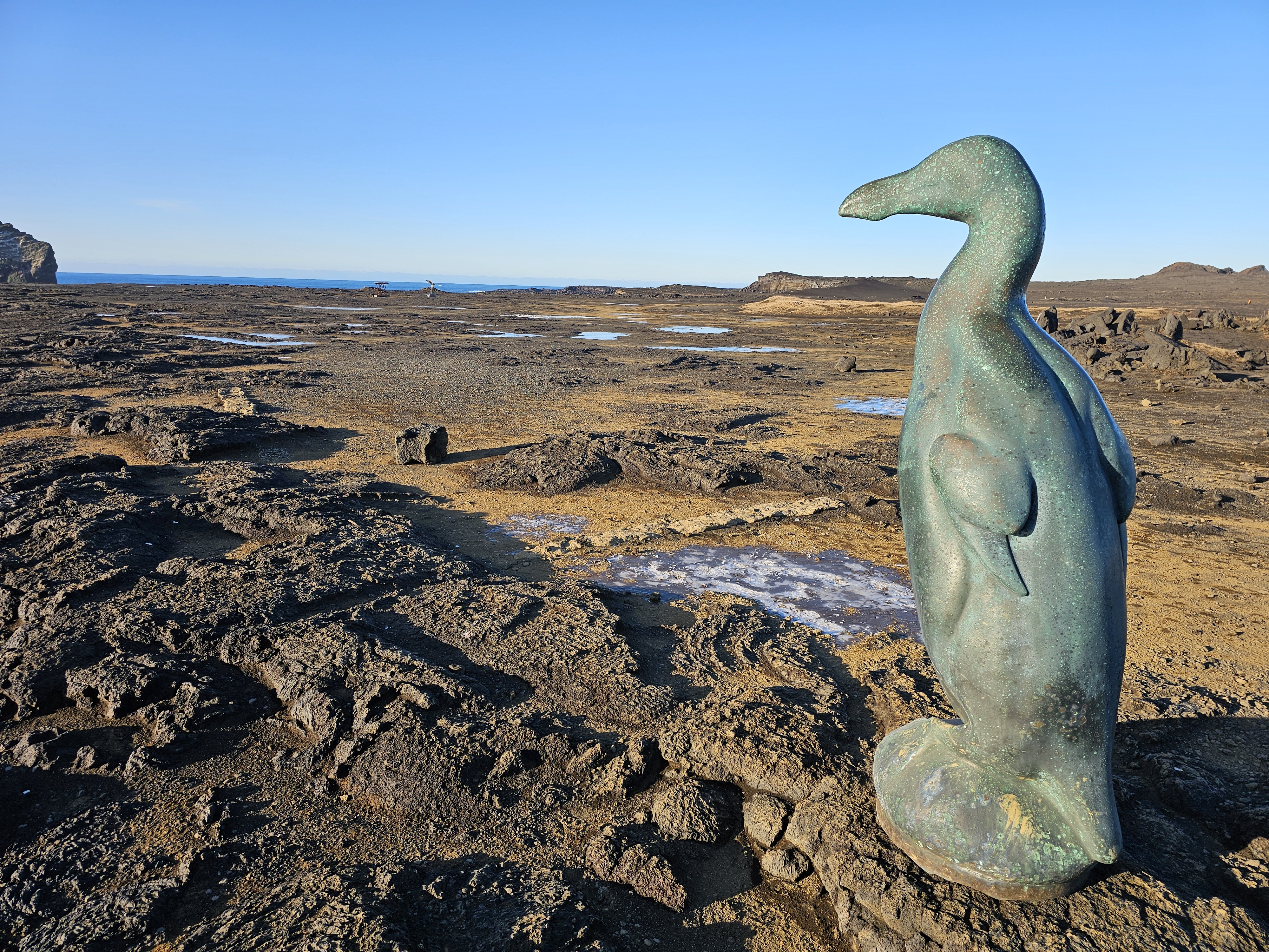 Private Reykjanes Peninsula Tour From KEF Airport or Reykjavik - photo 19