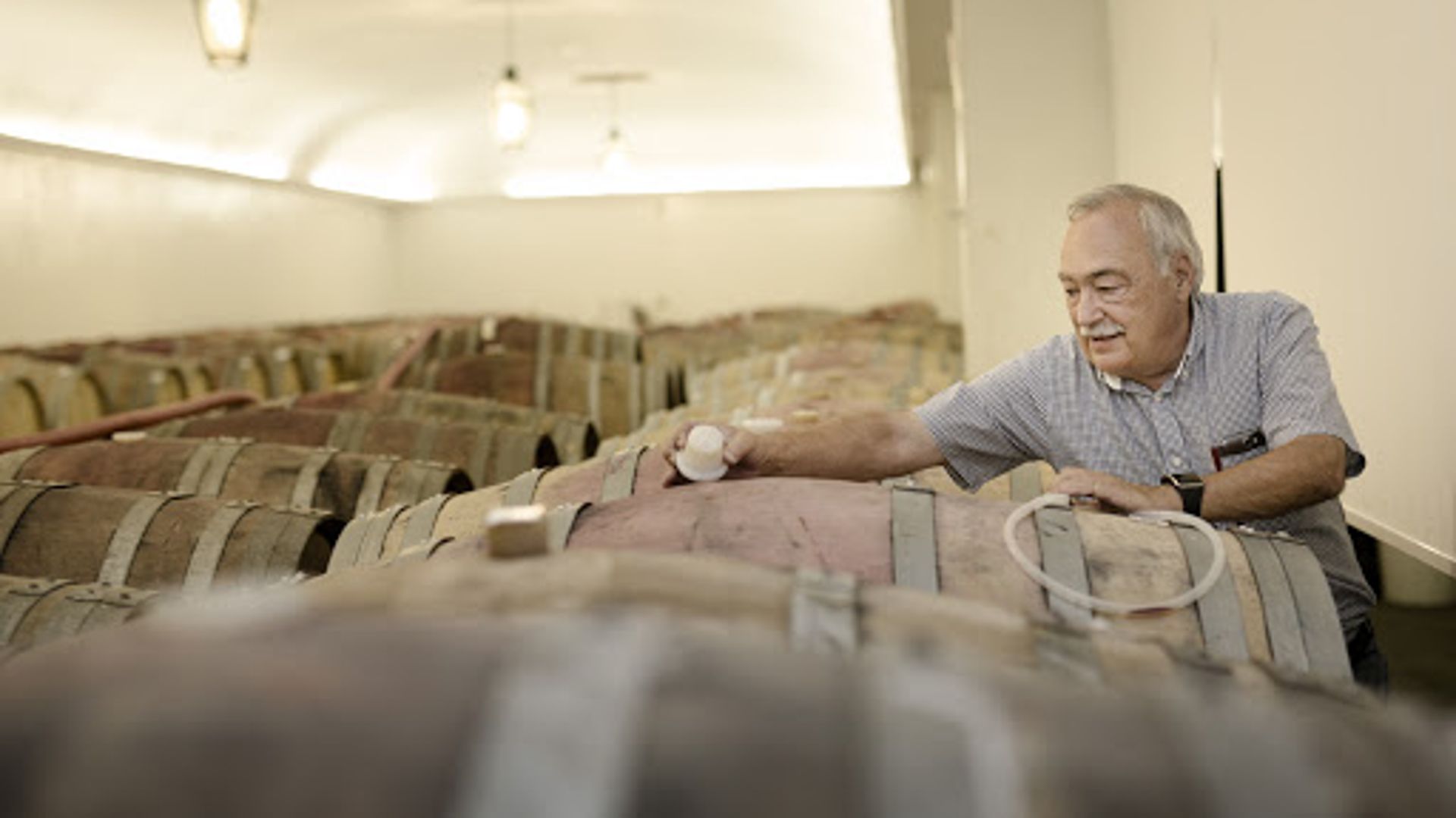 Private Bairrada Wine Tour from Porto with Two Historic Caves - Photo 12