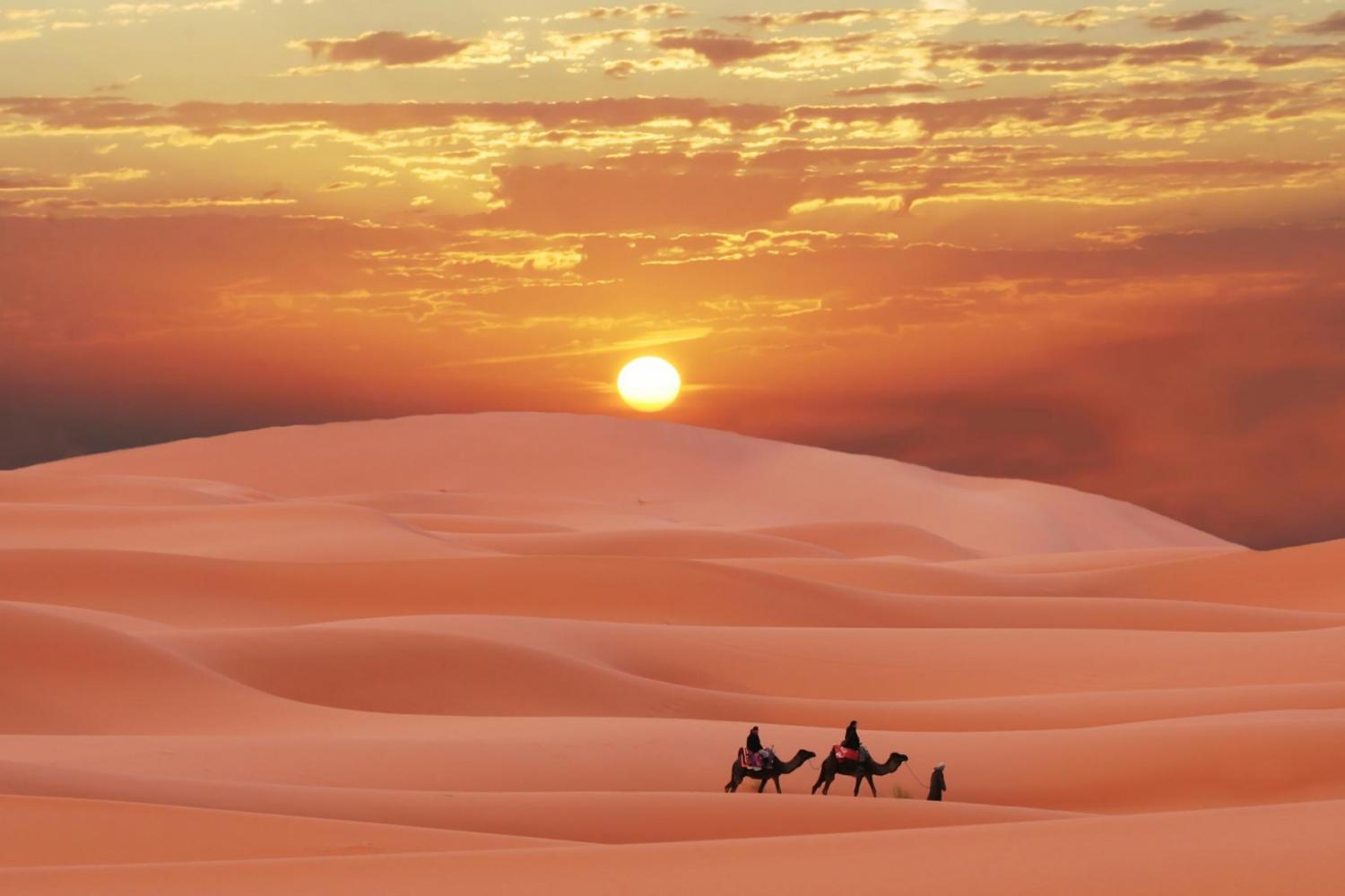 Safari matutino por el desierto de Abu Dabi con sandboarding - Foto 4
