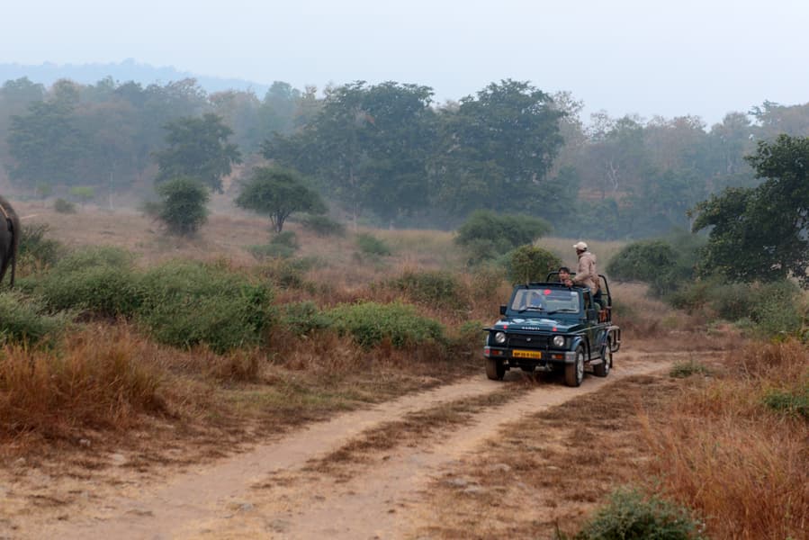 Majestad de la jungla y maravillas monumentales: la vida silvestre y la historia de la India
