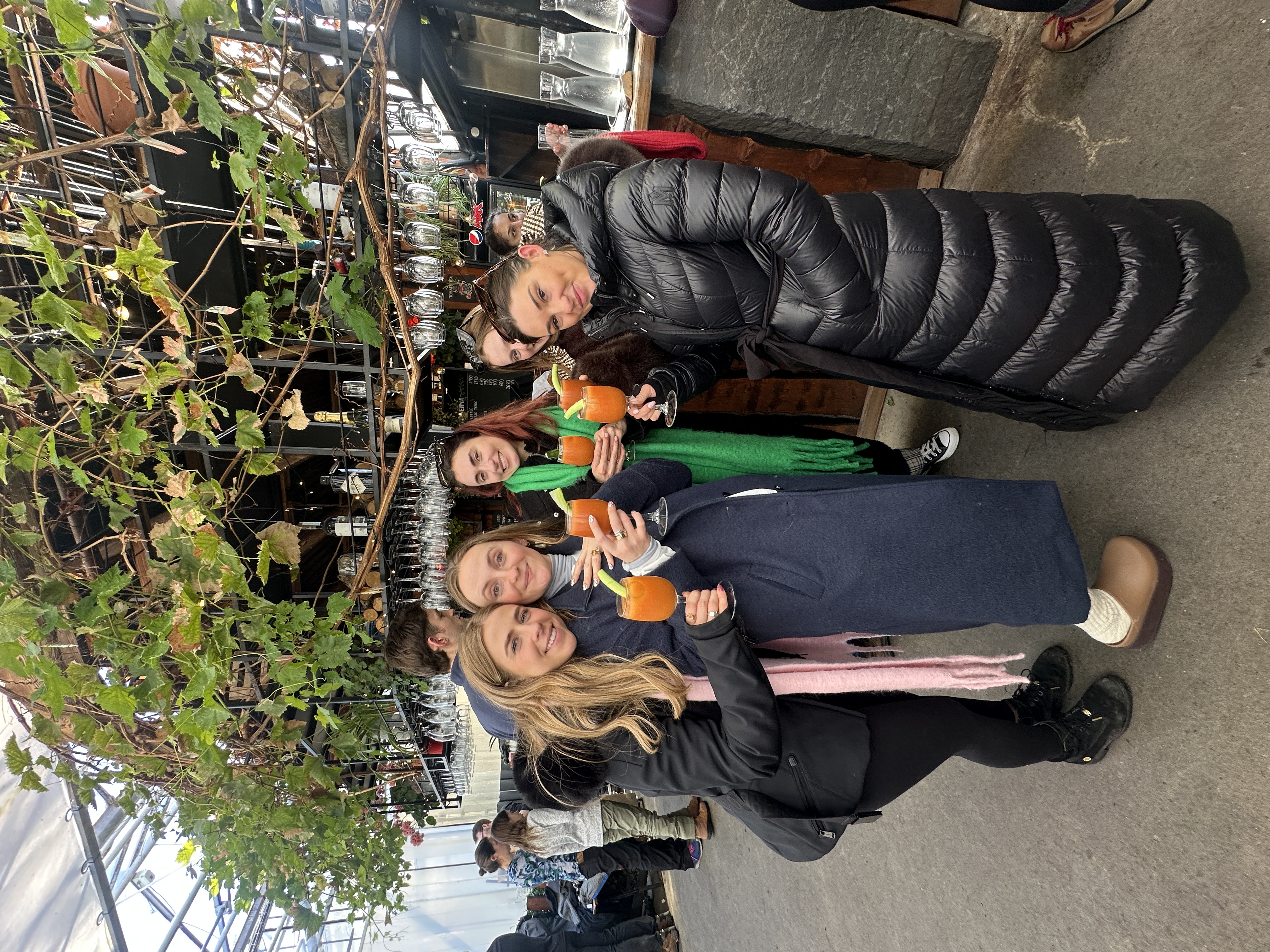 Golden Circle Private Tour & Fridheimar Farm Visit from Reykjavik - photo 2