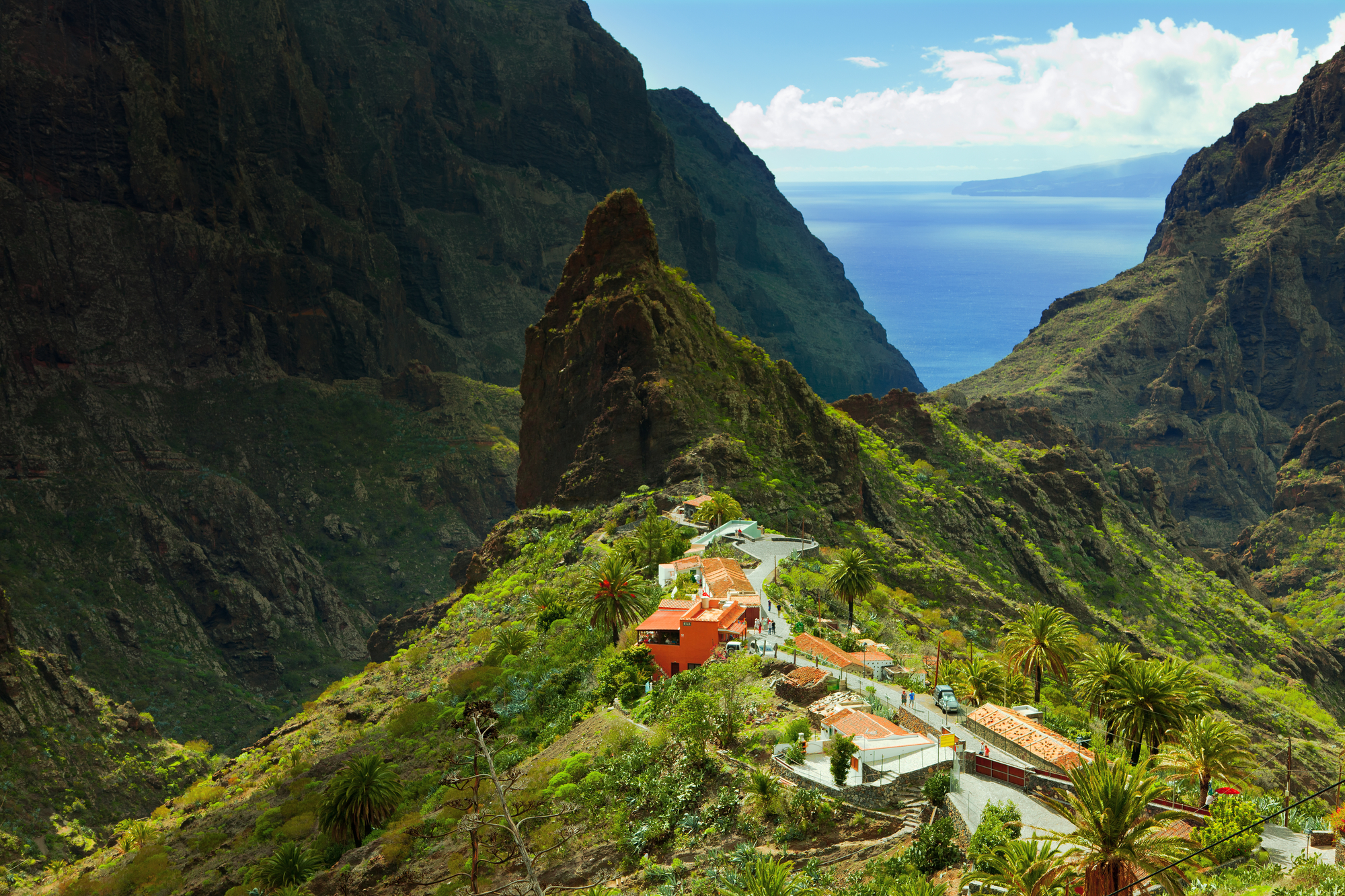  Best of Tenerife – full-day small-group shore excursion  - Photo 7