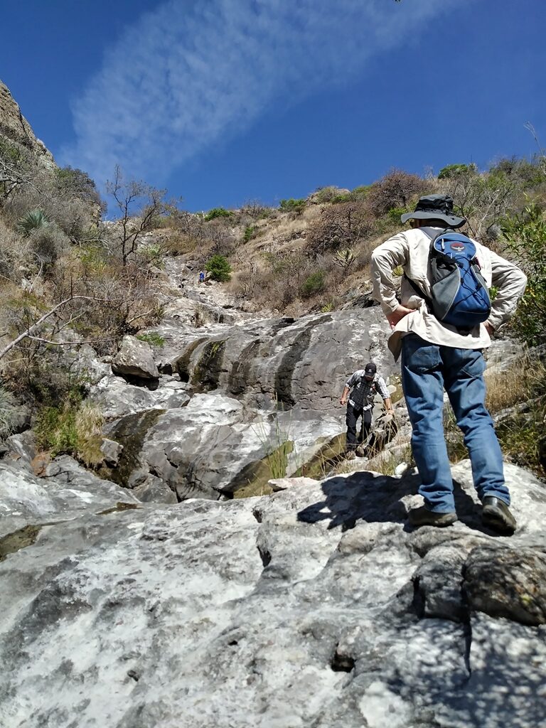 Central Mexico Adventure: History, Culture & Culinary Delights (8 Days)