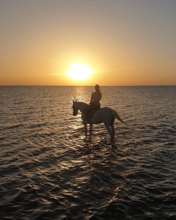 Hurghada Horseback Riding - 2 Hours Beach Ride Hurghada Horseback Riding – 2 Hours Beach Ride
