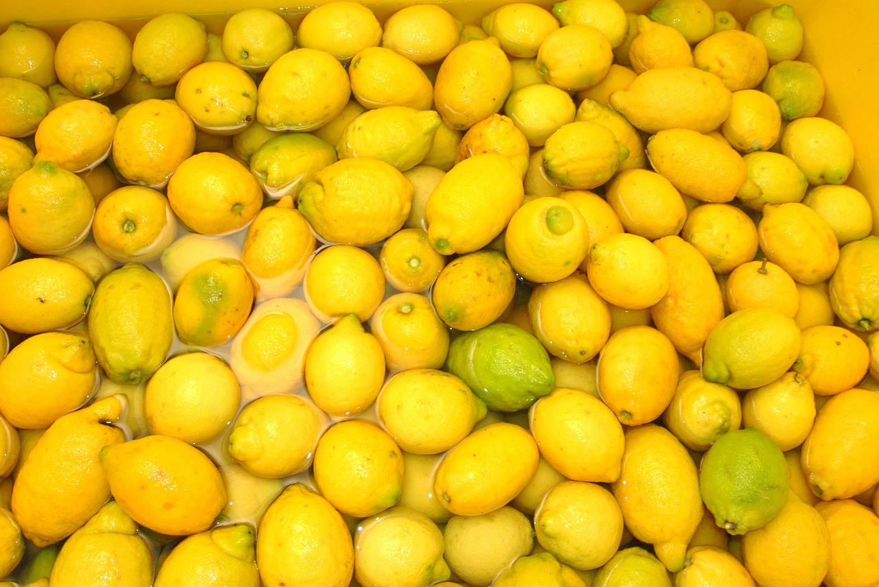 Farm Tour in Sorrento with tasting - Photo 7
