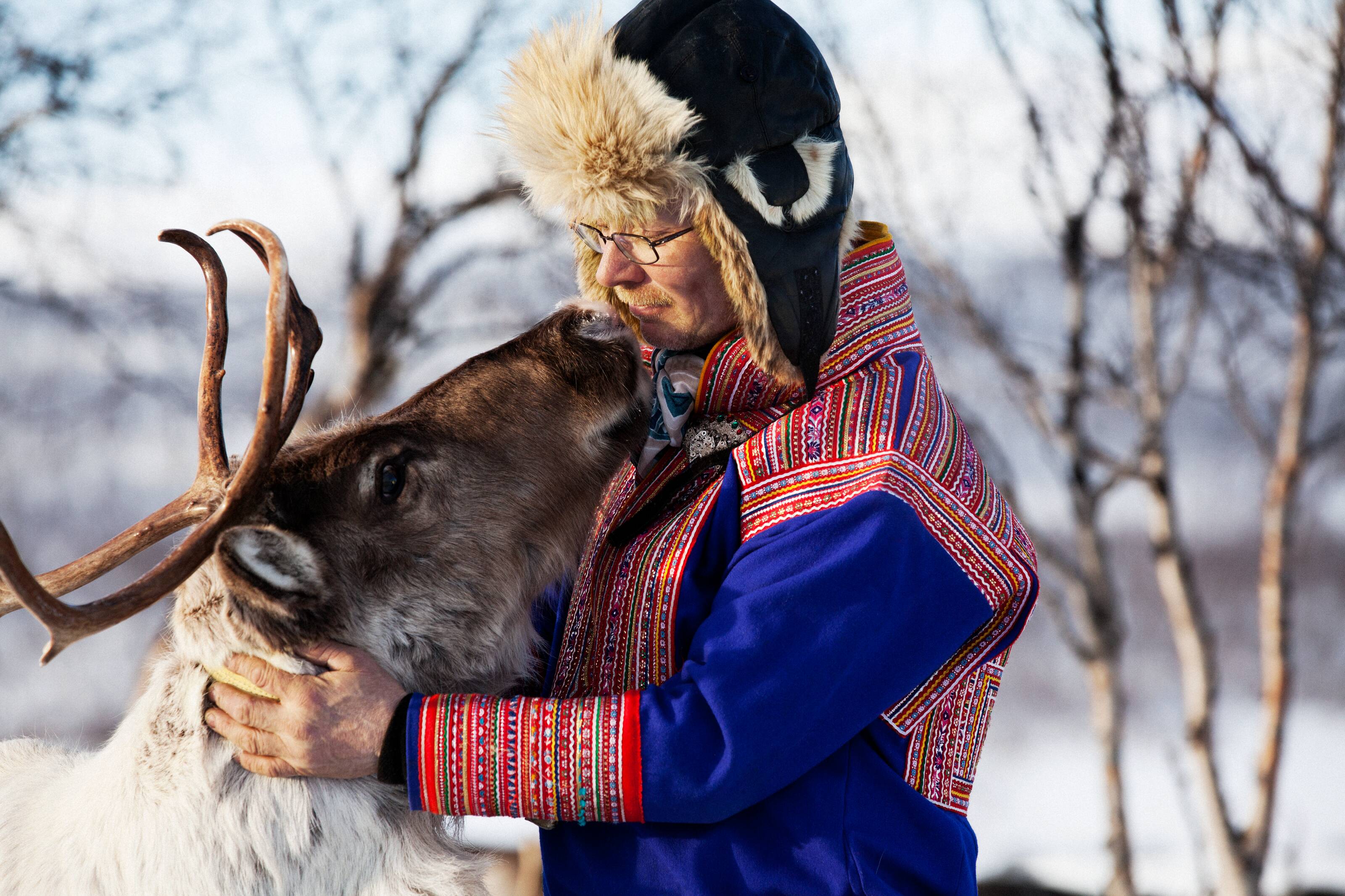 Lapland Reindeer Safari From Saariselkä