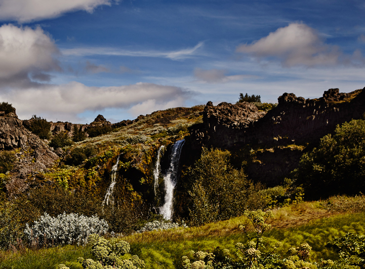 Paradise Valley & Highlands | Private Tour – photo 3