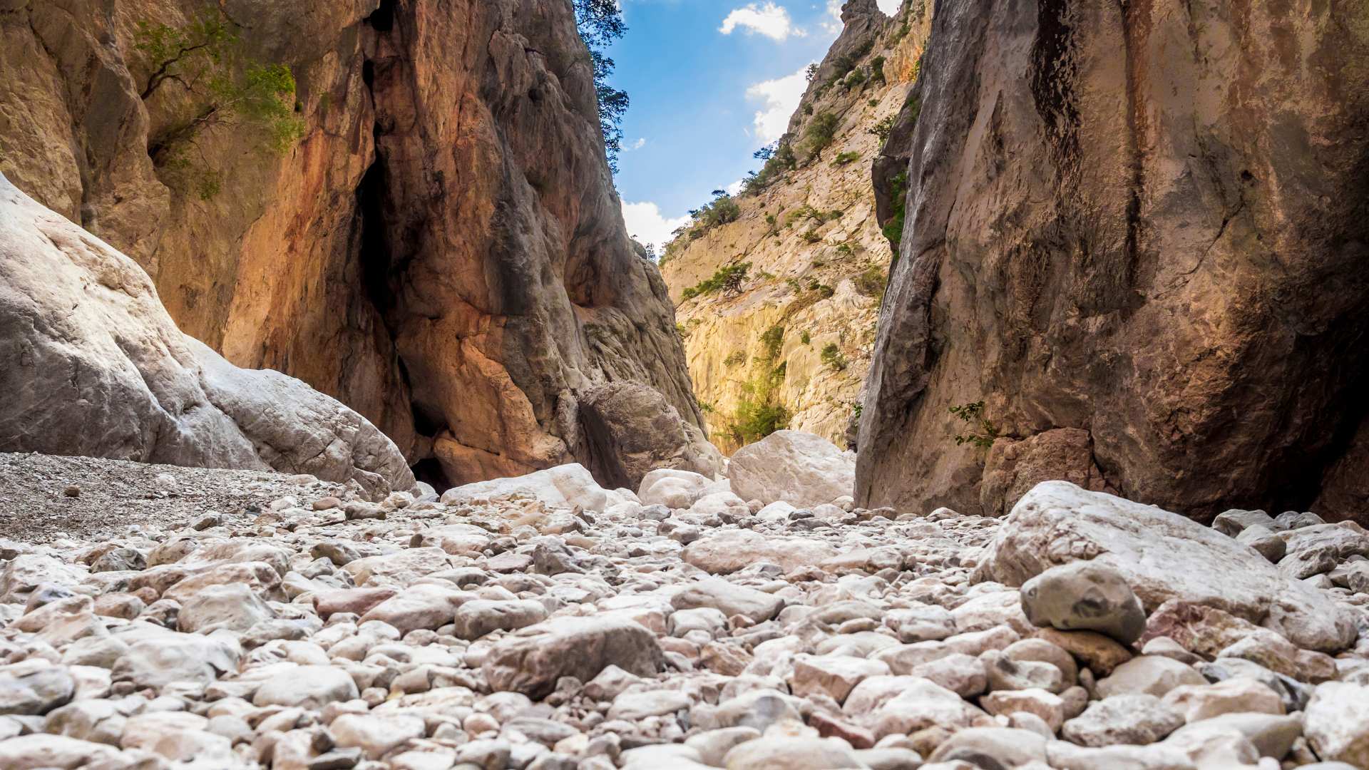 From Cala Gonone: trekking in the Gorropu canyon with transfer - Photo 10