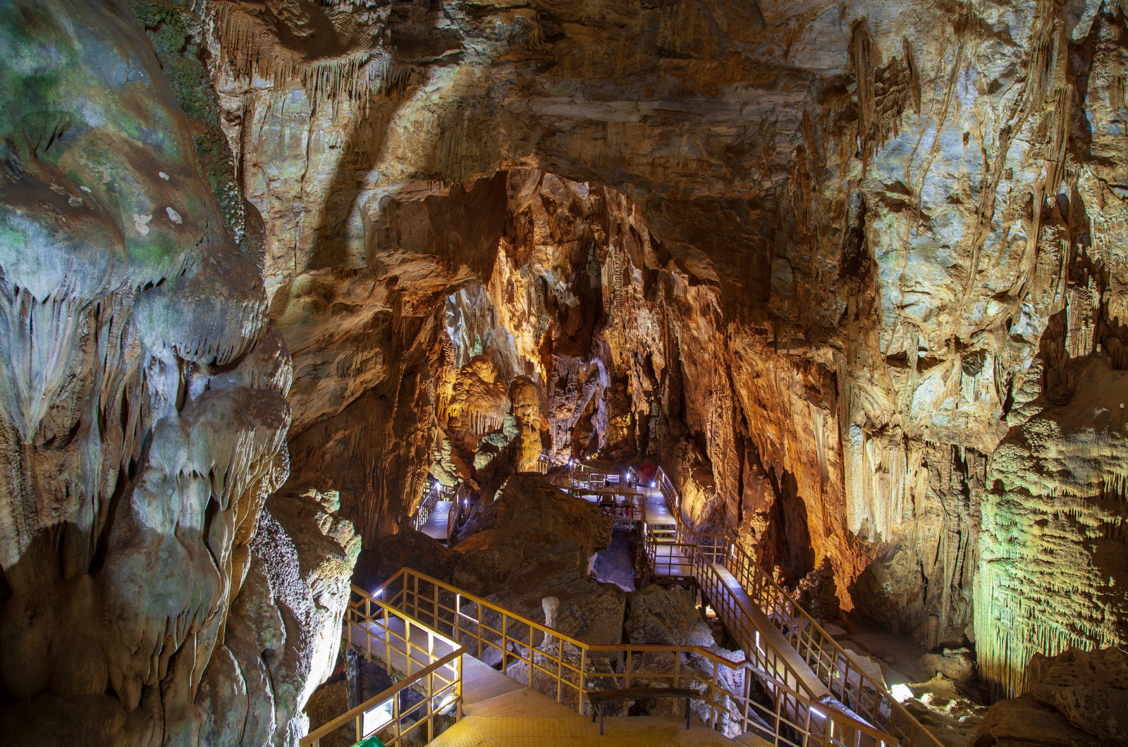 Visita al jardín botánico, la cueva Paradise y la cueva Phong Nha - Foto 4