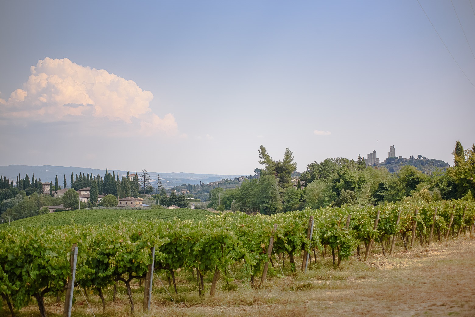 Small-Group Winery Tour with Tasting and Dinner in Chianti - Photo 140
