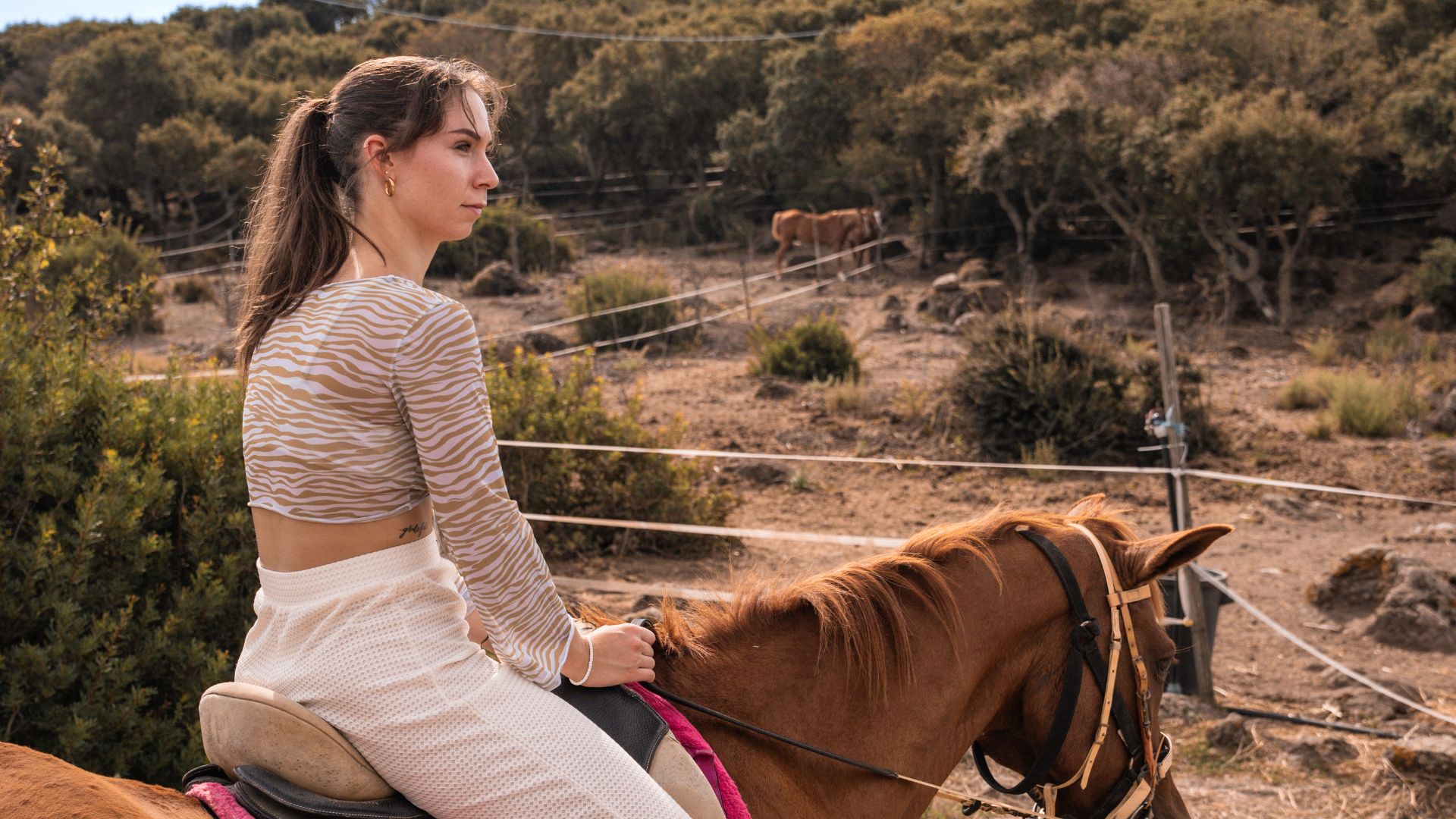 Castelsardo: horseback in Sedini - Photo 10