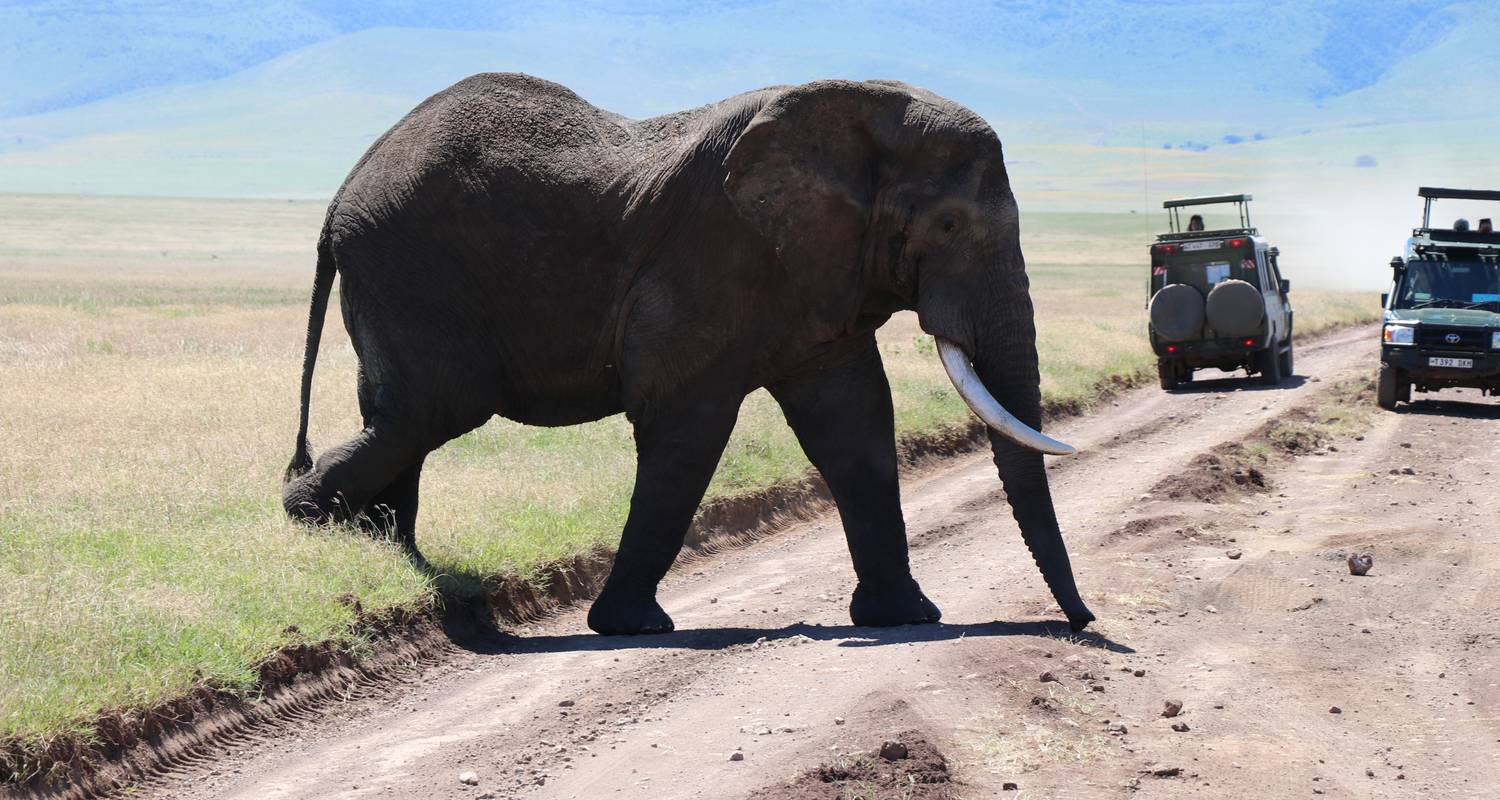 Safari privado de 9 días: Kenia y Tanzania - Foto 4