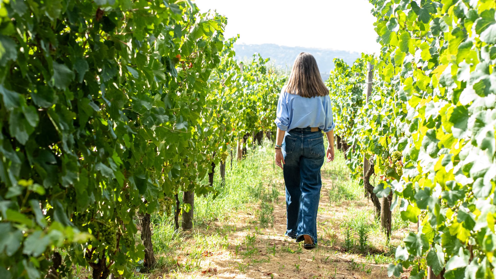 Naples: winery tour and wine tasting on Astroni crater - Photo 7