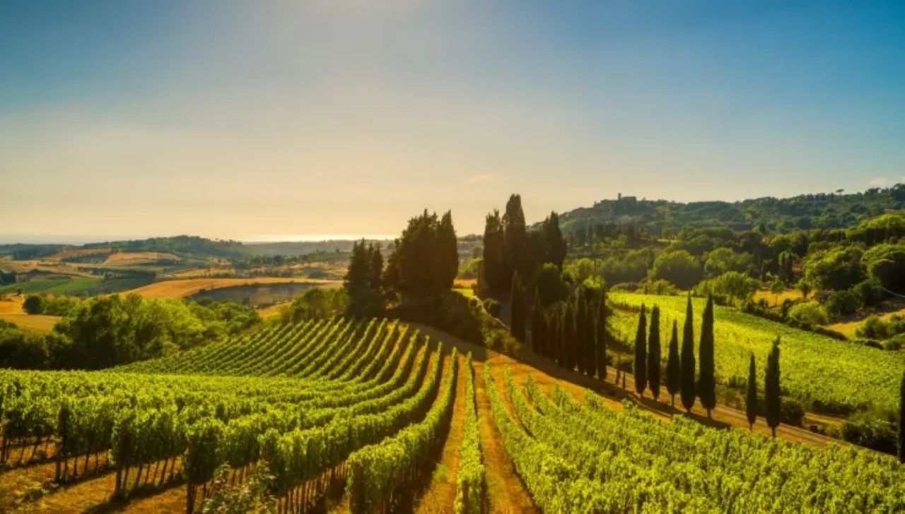 La Madama: A Journey through Piedmont's Tradition and Wines - Photo 4