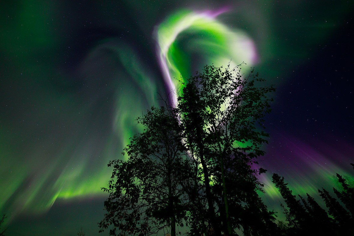 Private Northern Lights Experience From Levi