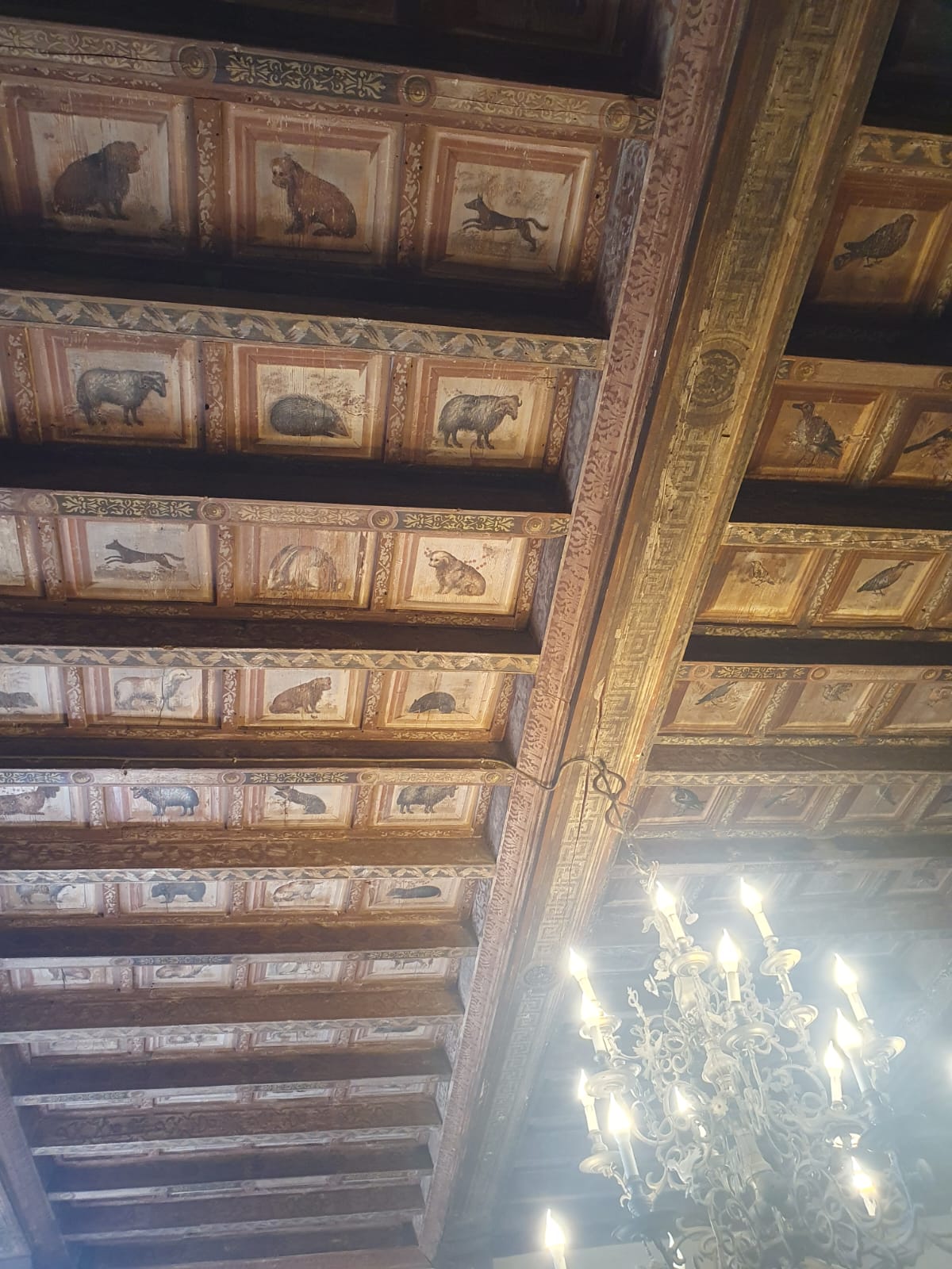 From Venice Tour to the Walled Town Of Monselice - Photo 17