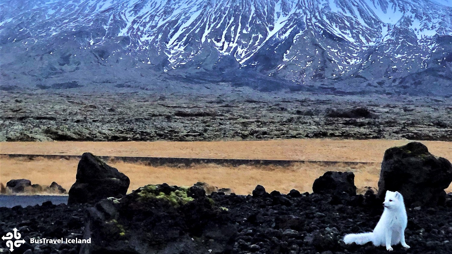 2026 Solar Eclipse Day Tour - photo 7