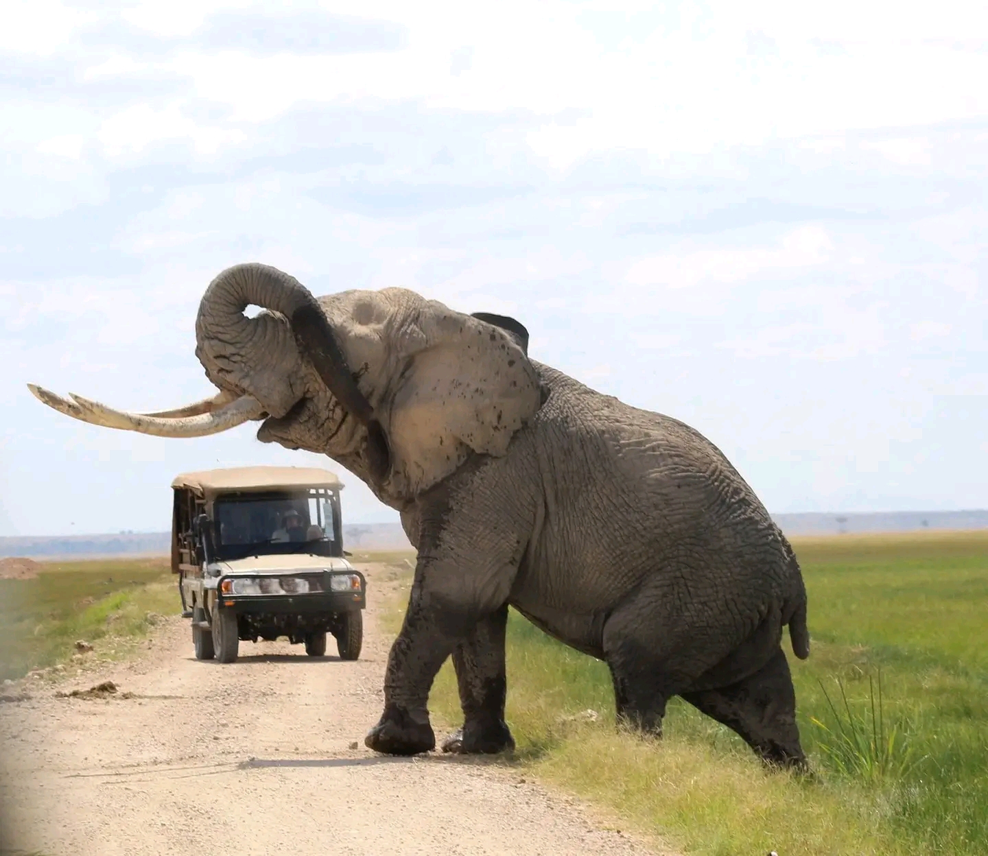 INCREÍBLE SAFARI CIRCUITO NORTE