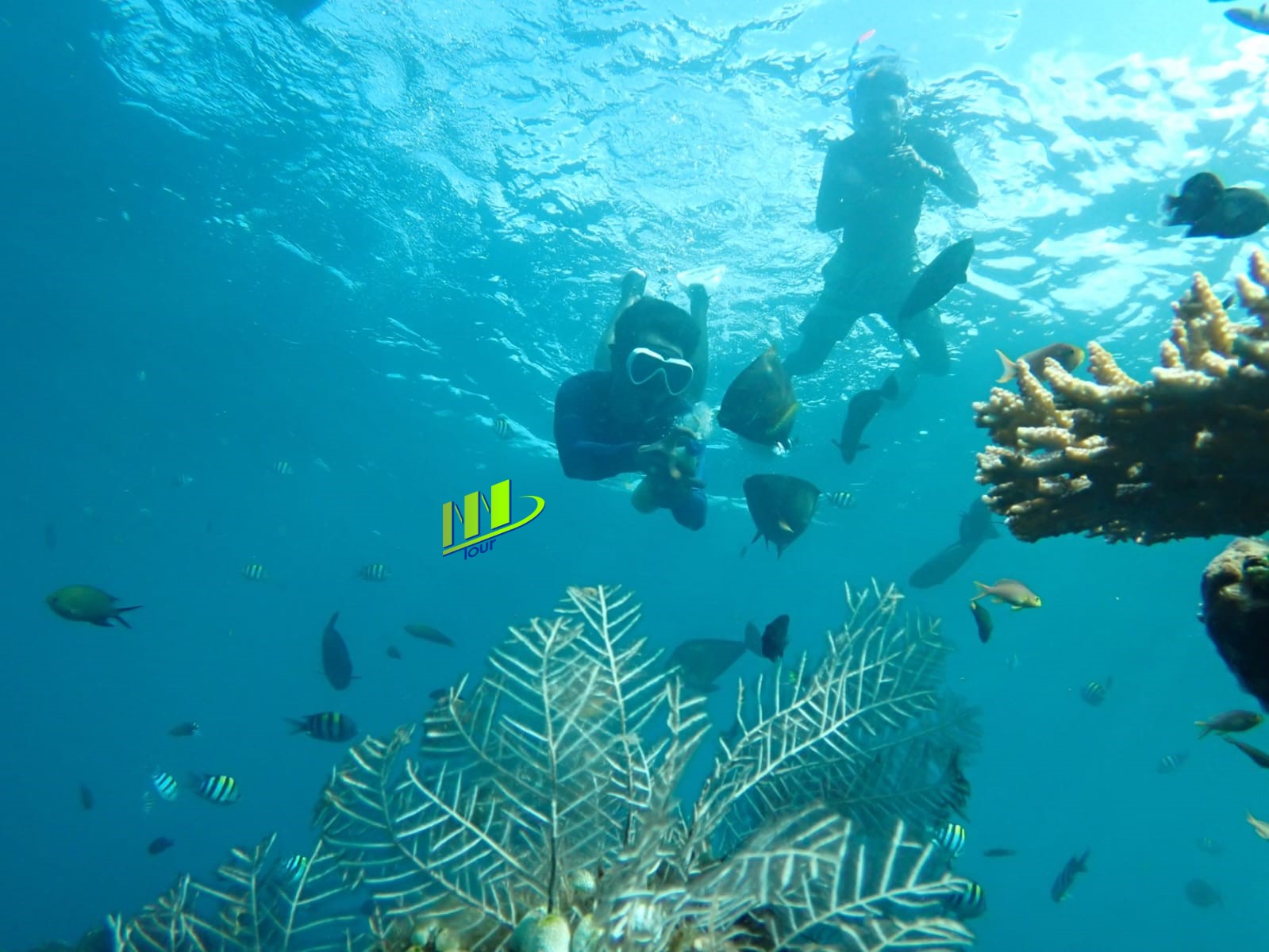 Tulamben Snorkel en USAT Liberty Shipwreck Karangasem Bali - Foto 2