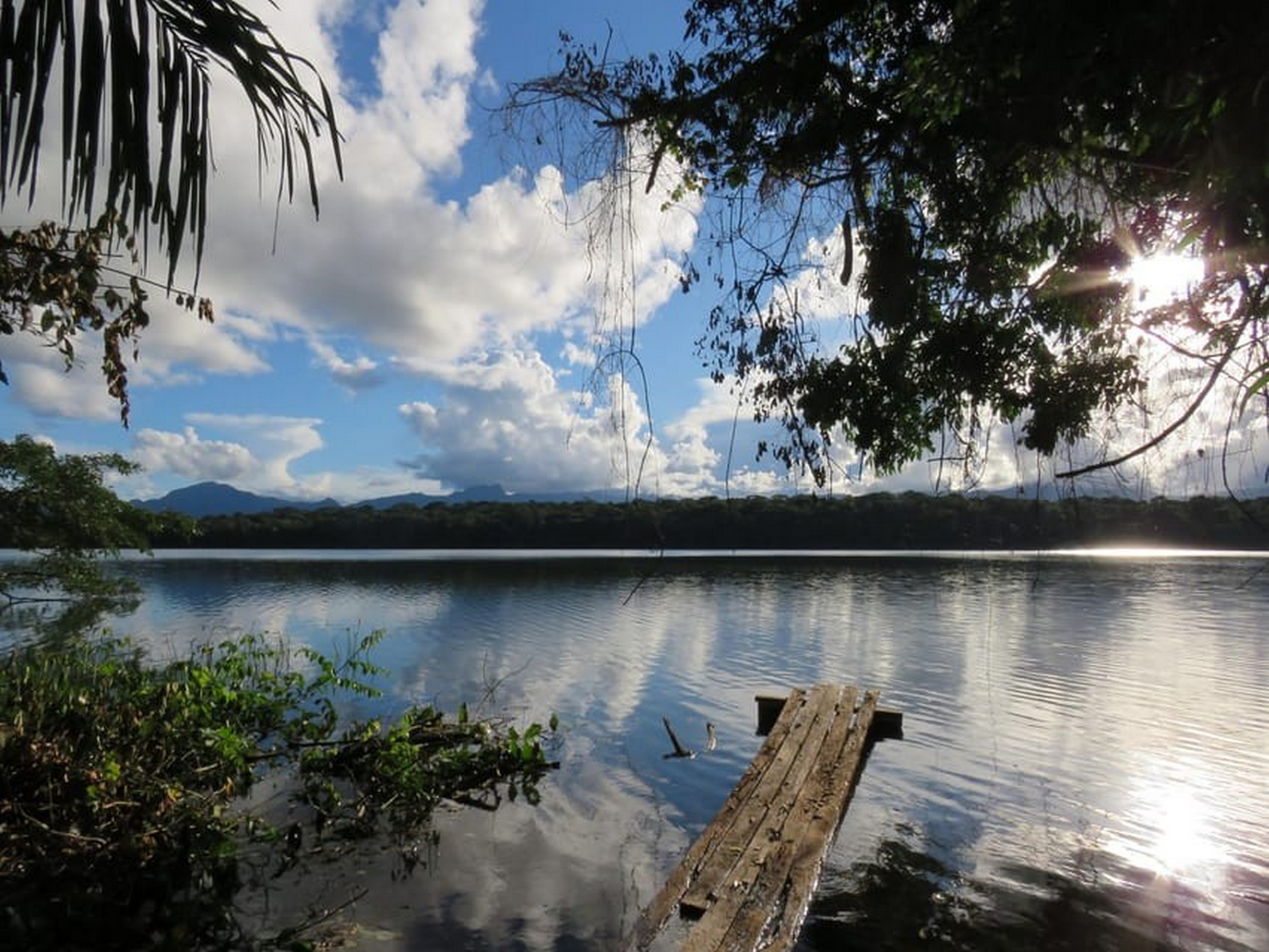 BO-RUR-04: Rurrenabaque | Jungle & Pampas 5D/4N: Exploring the Wild of the Amazon Forest