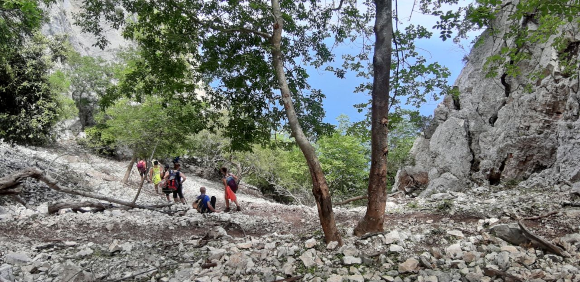 From Baunei: trekking to Cala Mariolu - Photo 6