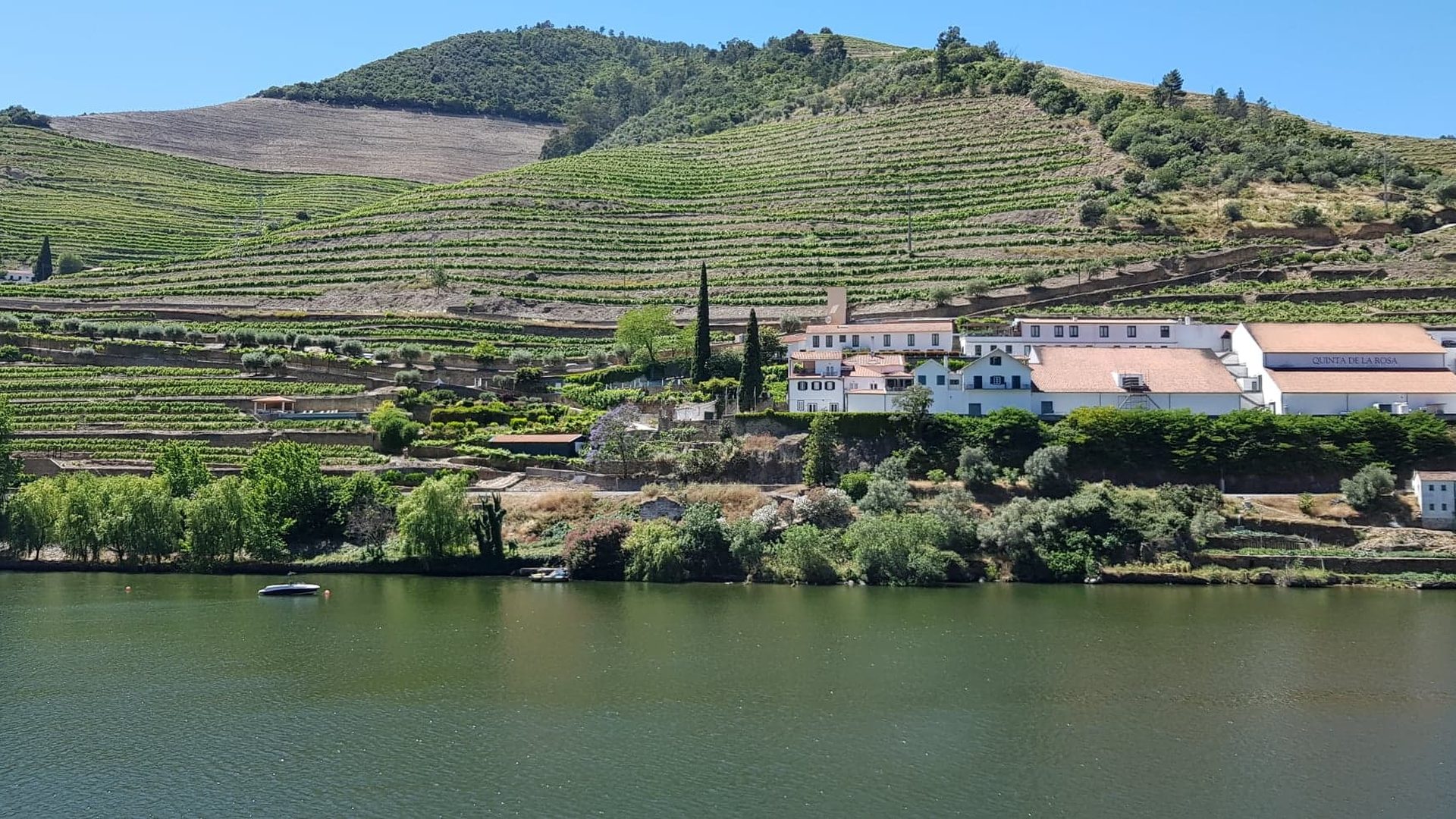 Private Douro Valley Tour: Provesende, Pinhão, Scenic Viewpoints and most renowned wineries - Photo 24