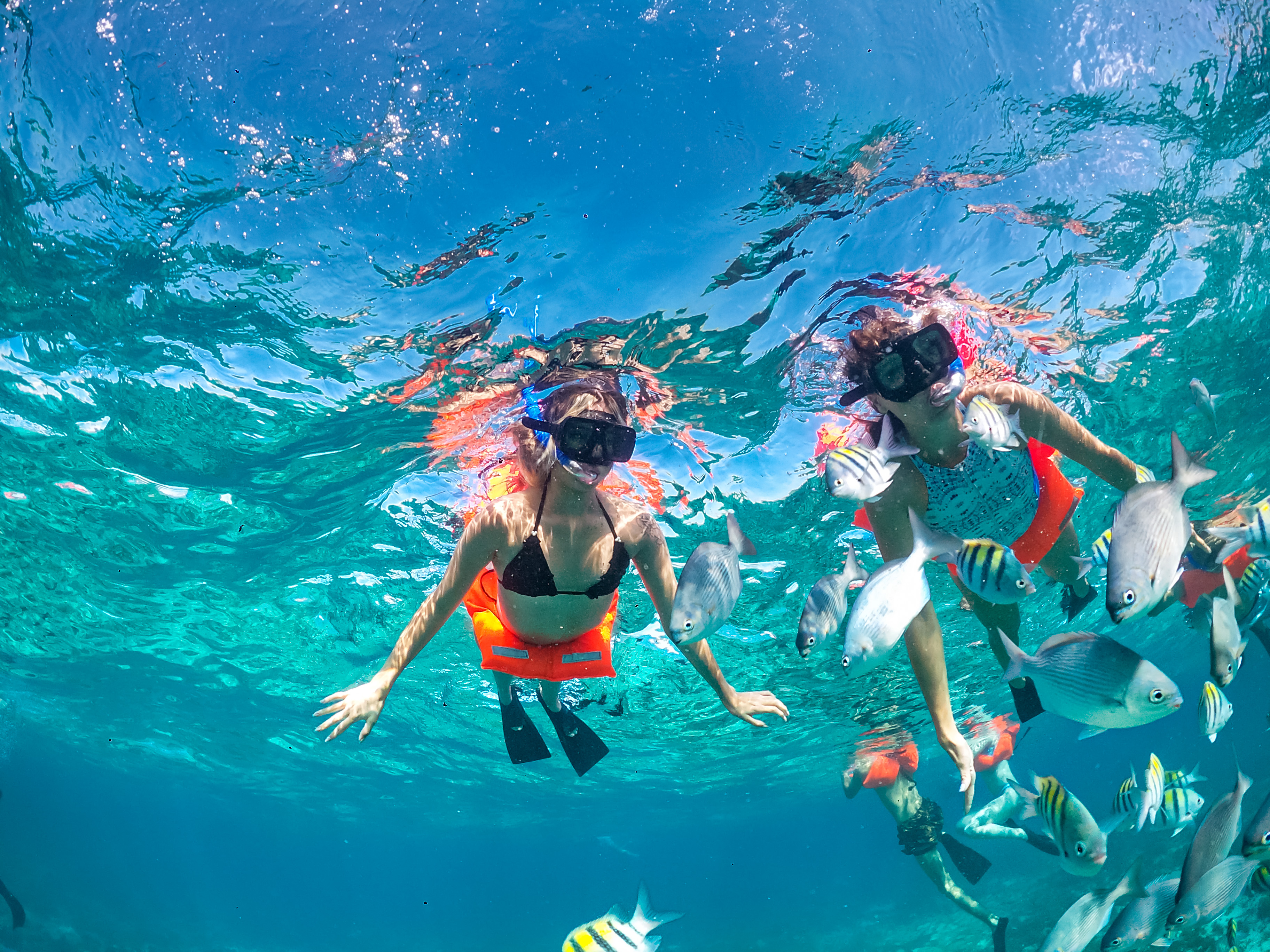 Experiencia de Navegación en Isla Mujeres con Recogida y Hasta un 30% de Descuento por Compra Anticipada - Alojamientos en Cancún