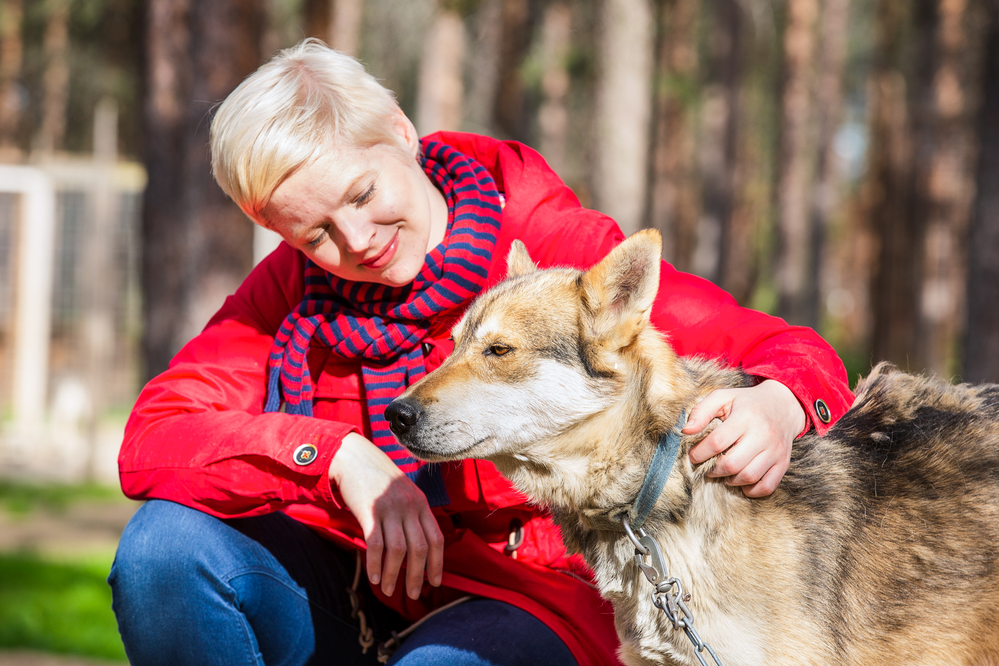 Husky Summer Adventure: Kennel Visit and Husky Ride - Rovaniemi – Image 1 | WeShare