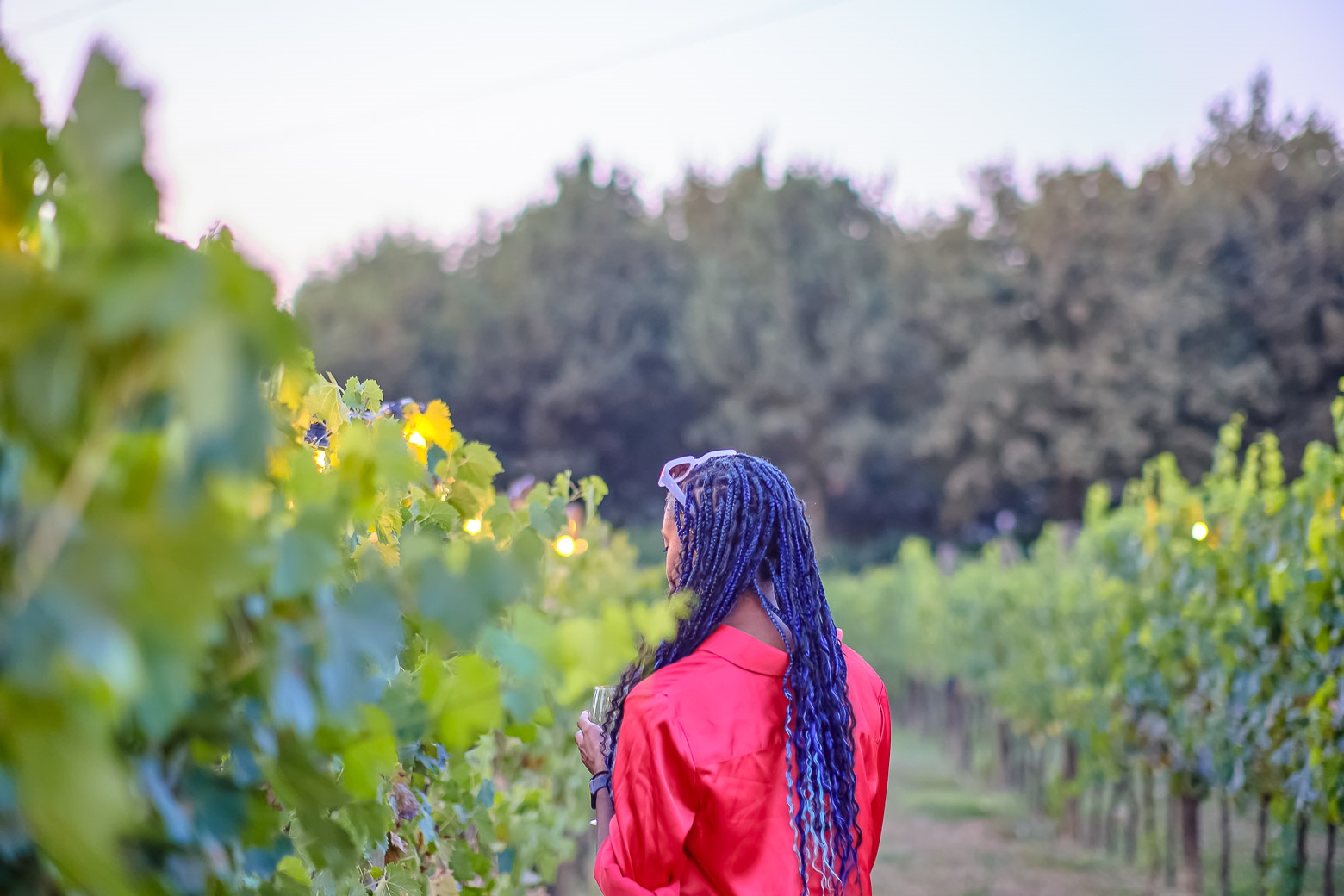 Small-Group Winery Tour with Tasting and Dinner in Chianti - Photo 98