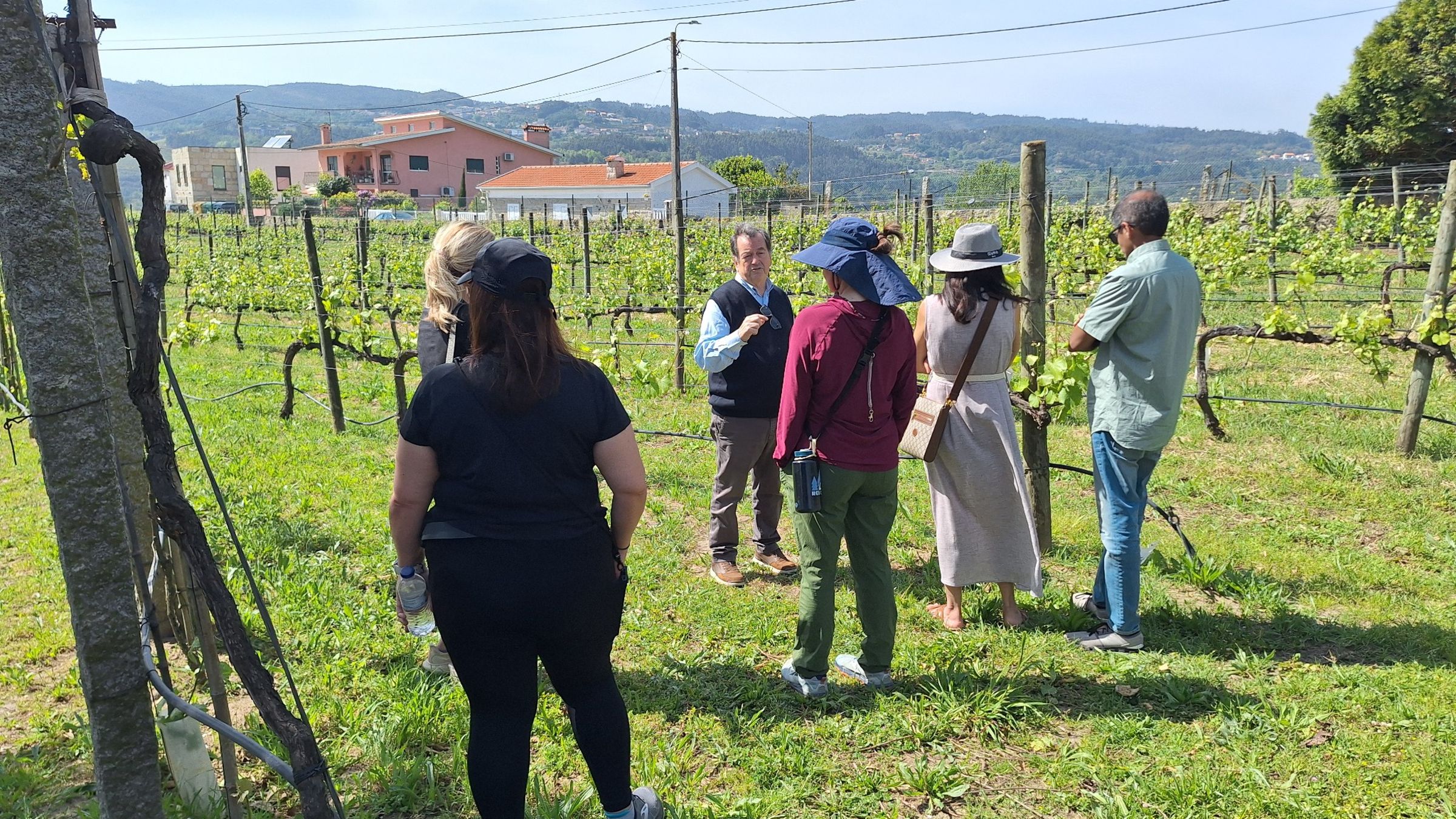 Private Paiva Walkways, 516 Bridge and Wine Tasting Tour - Photo 4