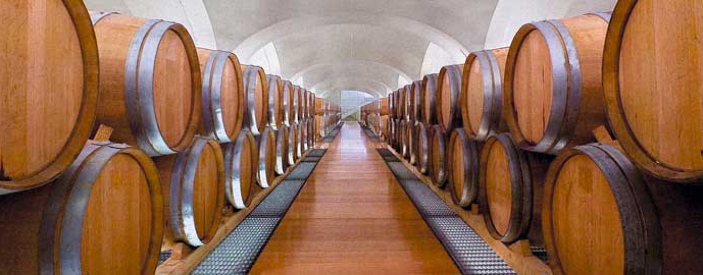 Irpinia: Wine tasting and guided tour - Photo 4