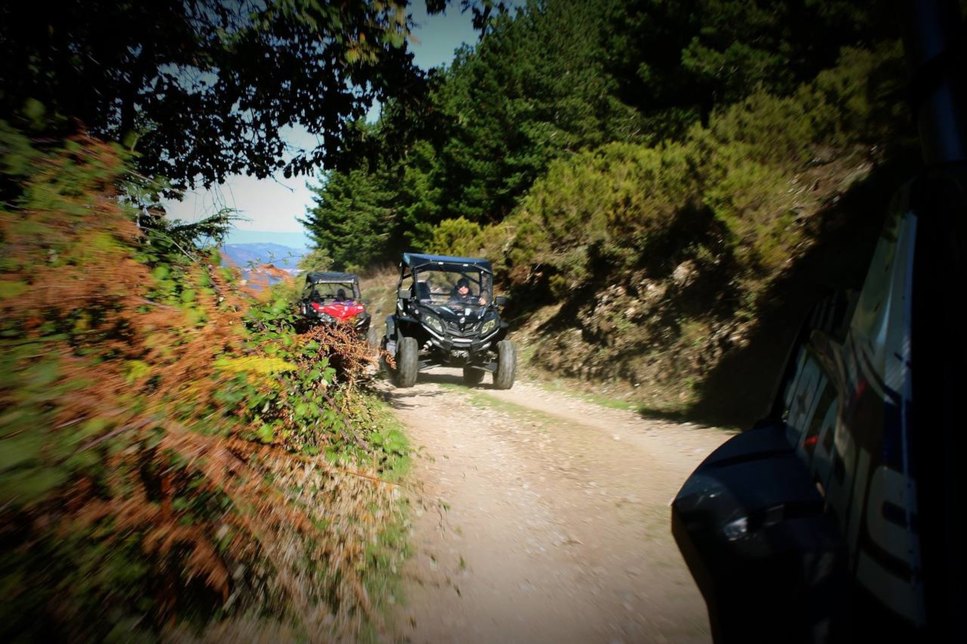 From Aritzo: buggy tour on Gennargentu - Photo 6