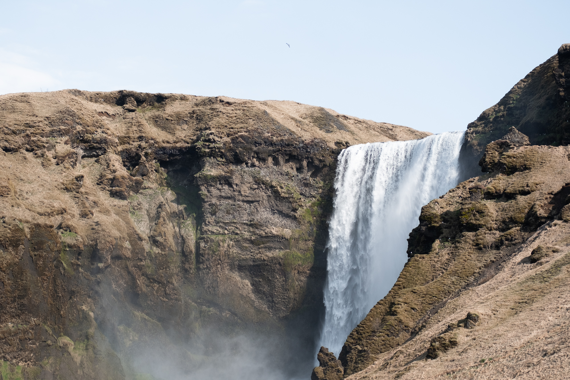 South Coast & Black Sand Horse Riding Tour - photo 9