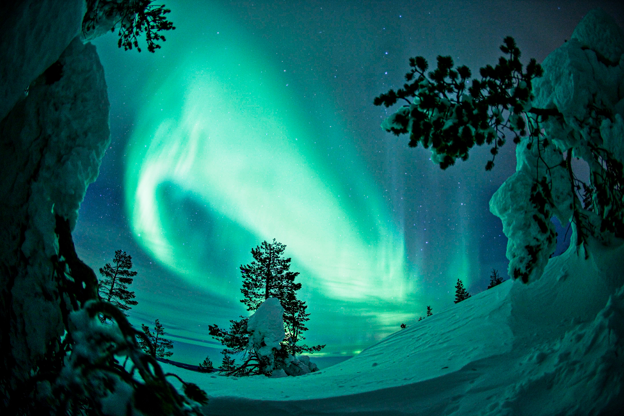 Tour privado de auroras (1-4) por expertos en auroras - Rovaniemi