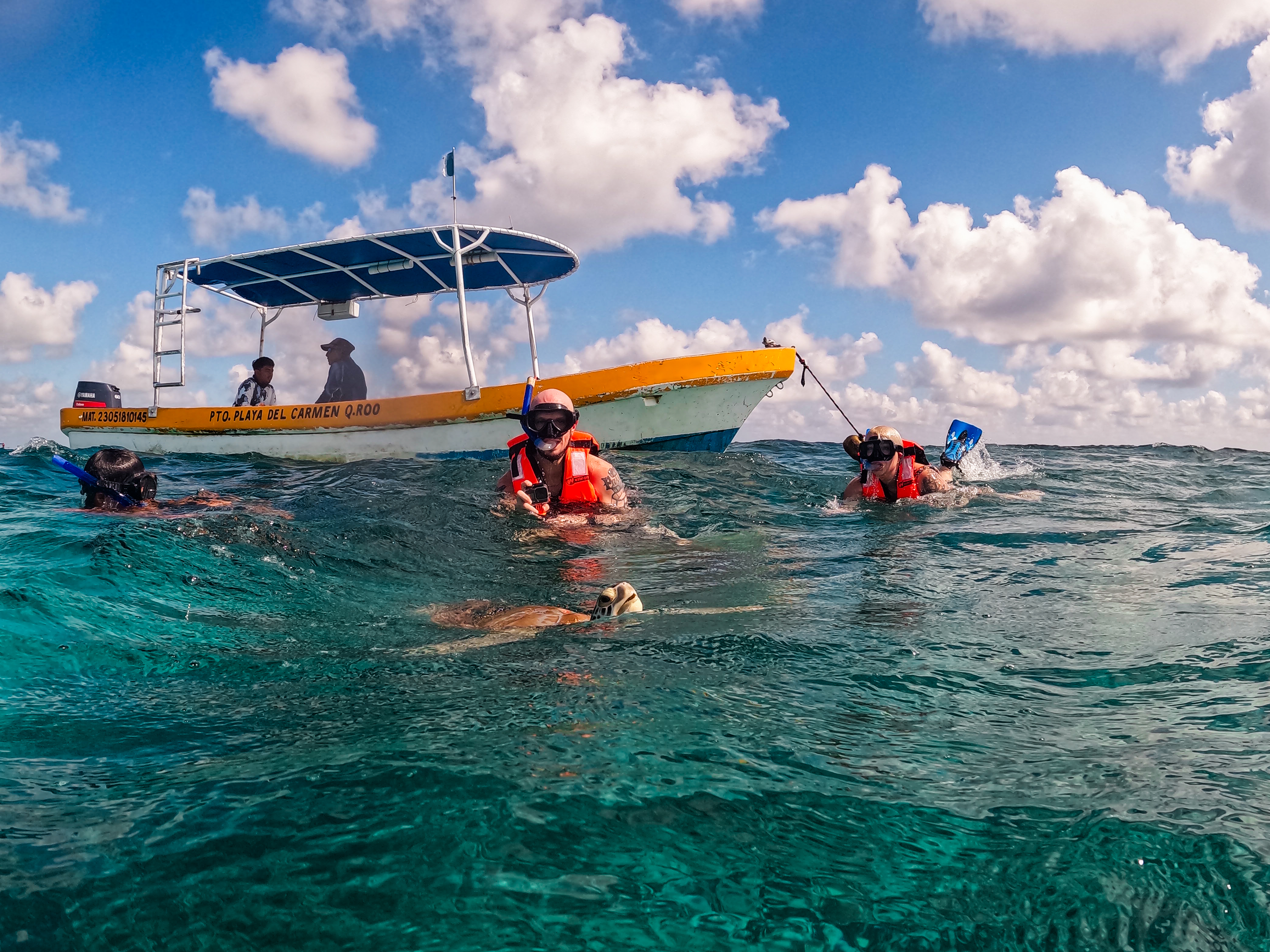 1.5 hours Snorkeling at Tulum's paradise reef — 32/92