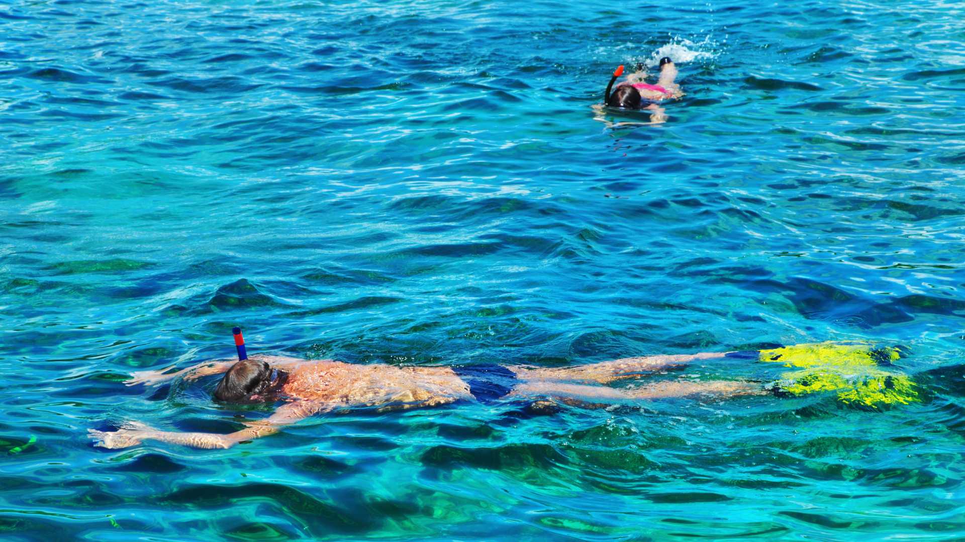 Cala Gonone: snorkeling in the Orosei Gulf - Photo 15