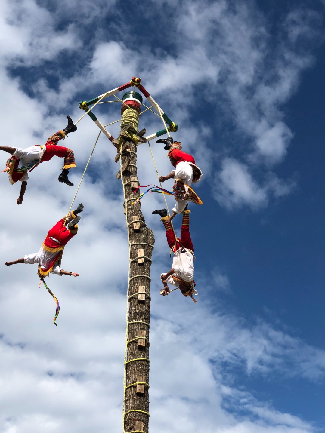 Veracruz Attractions: Visit Ancient Ruins, Sea and Papantla Flyers (4 Days) 5