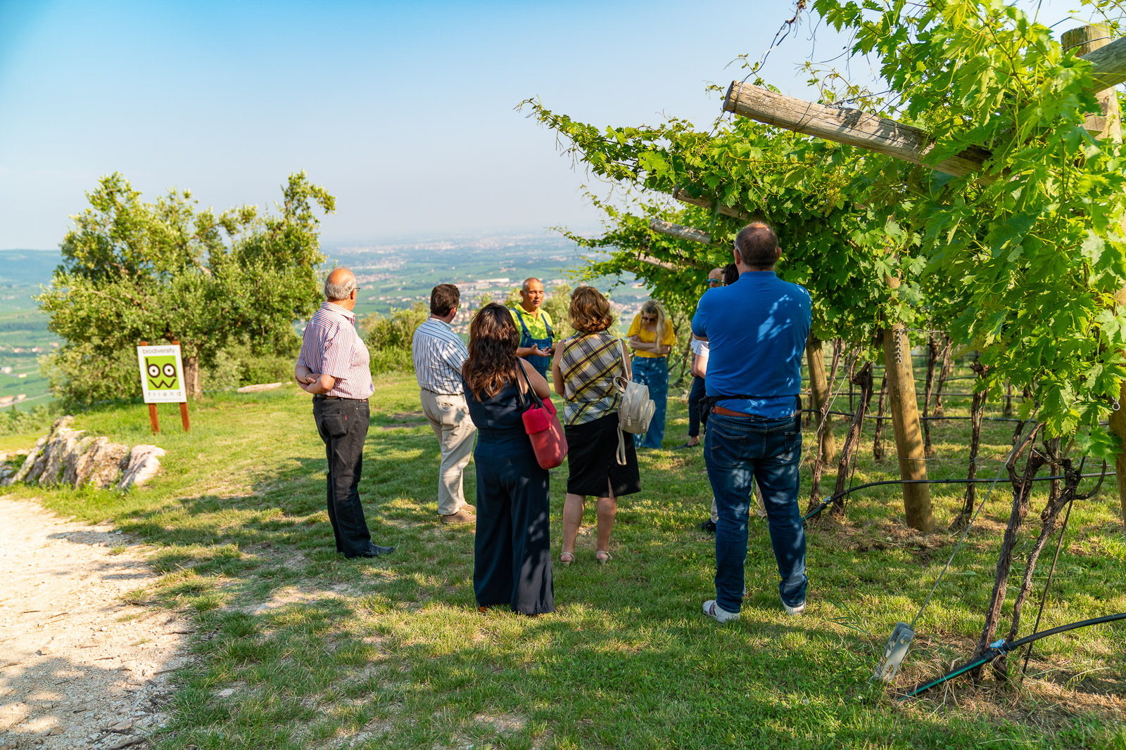 Fumane: tasting of 3 wines on Valpolicella Hills - Photo 3