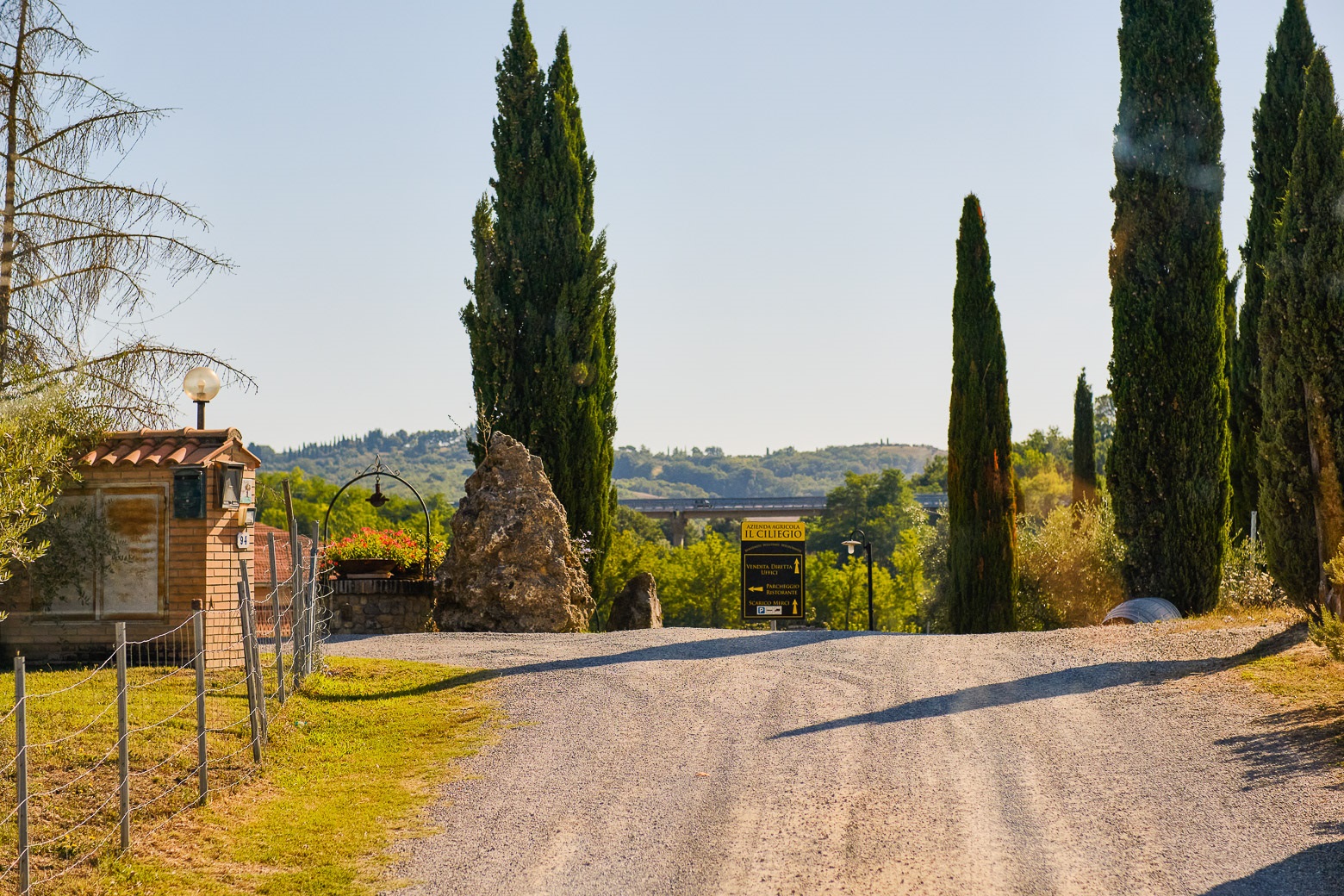 Chianti Vineyards Escape from Florence with Two Wine Tastings from Florence - Photo 19