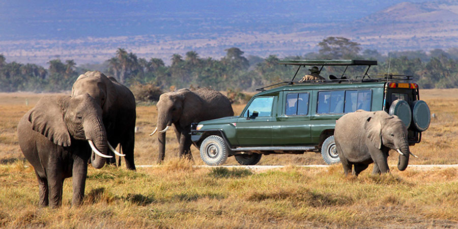 8 días de safari económico en Amboseli, lago Manyara, Serengeti, Ngorongoro y Tarangire