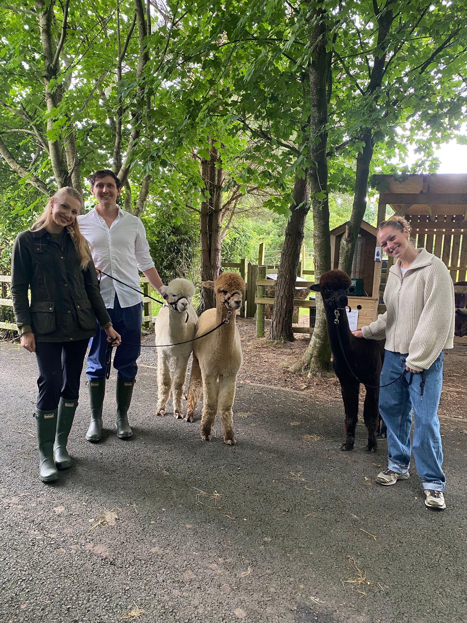 Golden Hour Alpaca Trekking & Luxury Charcuterie Board – photo 5