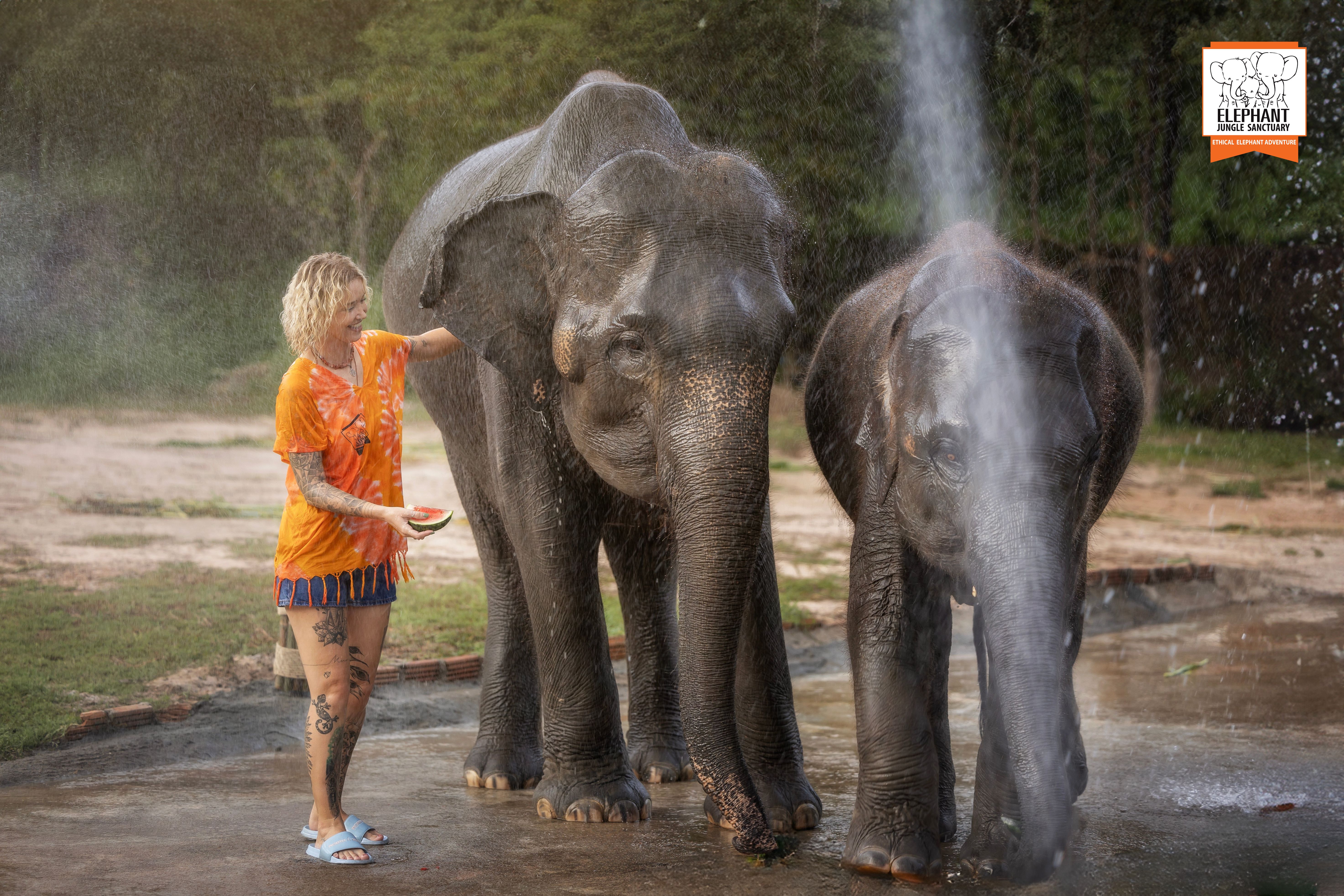 Chiang Mai: Beslenme ve Duş Deneyimi
