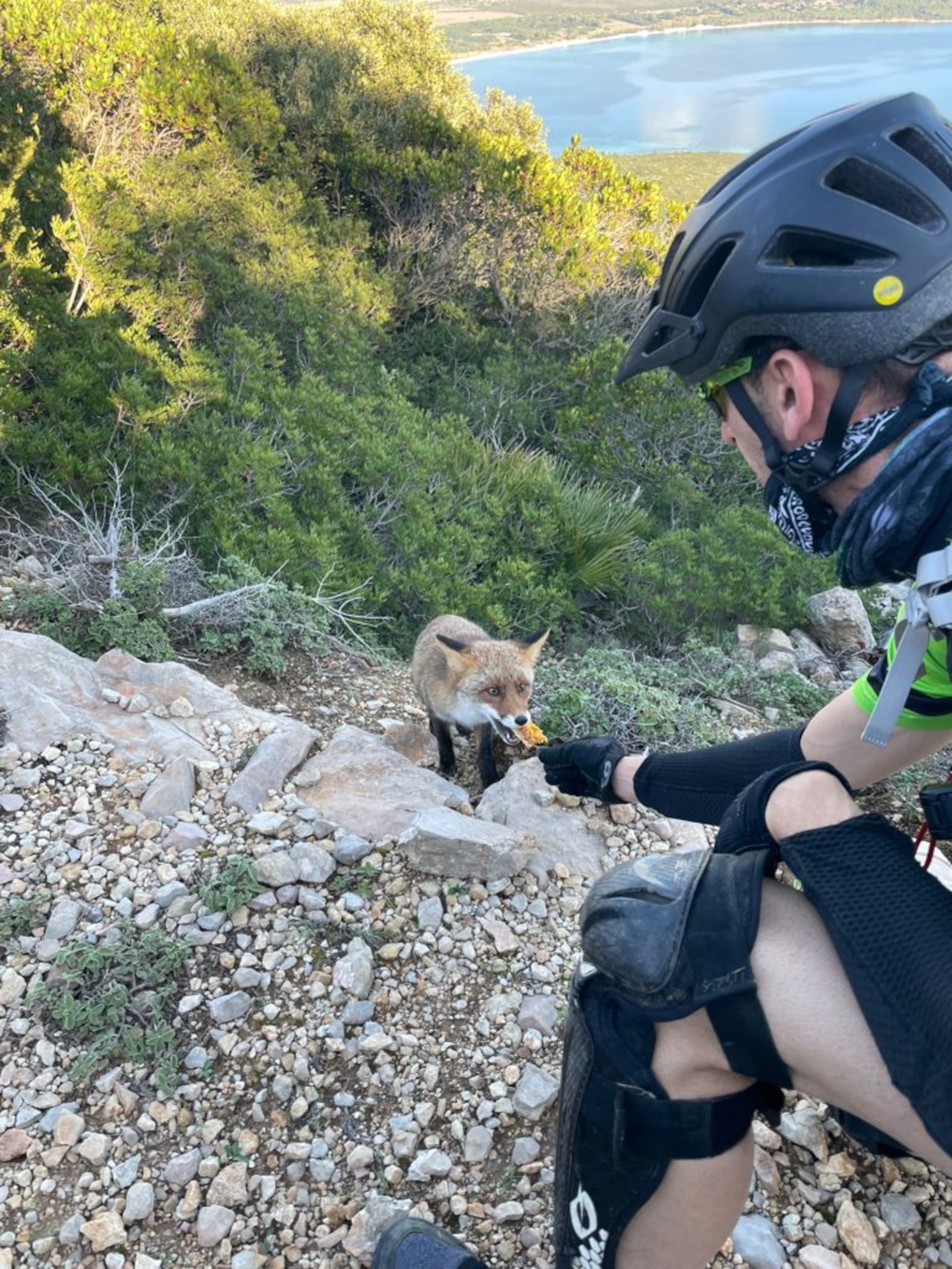 Alghero: ebike tour in Porto Conte Park - Photo 11
