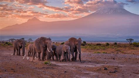 10-Day Kenya Safari Beyond Luxury – An Extraordinary Escape into the Wild – photo 1