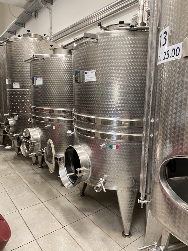 Frascati: 3-Hour Wine Tasting Experience with Lunch/Dinner - Photo 8