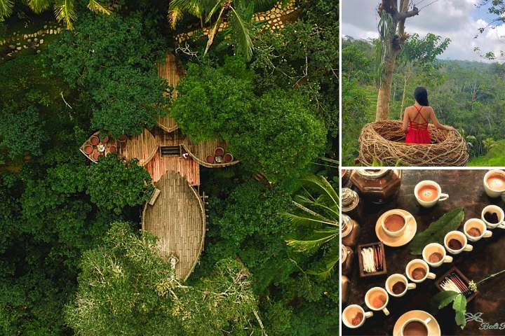 Ubud - Columpio en la jungla - Bosque de los monos - Cascada - Templo del agua - Wi-Fi GRATUITO - Foto 3
