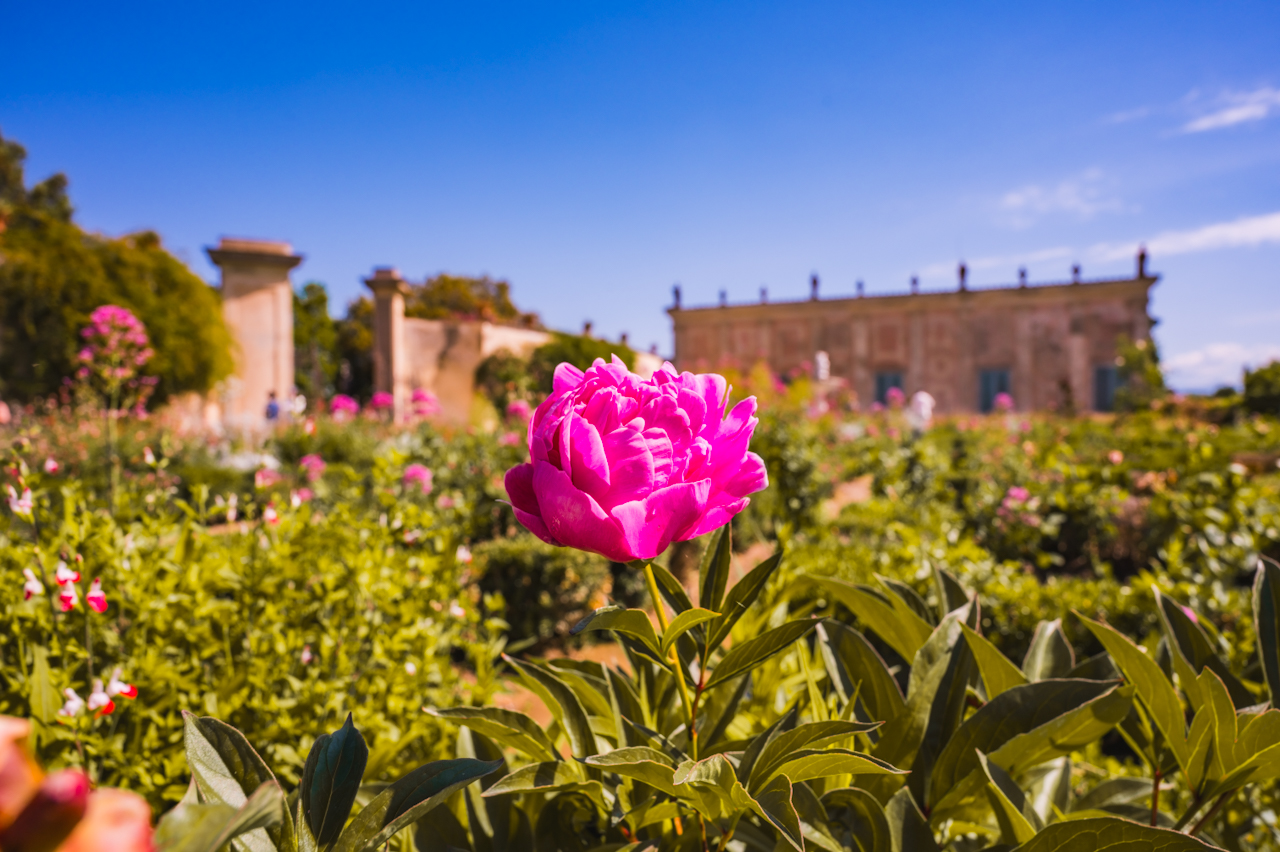 Small group tour to discover the Pitti Palace and the Boboli Gardens - Photo 22