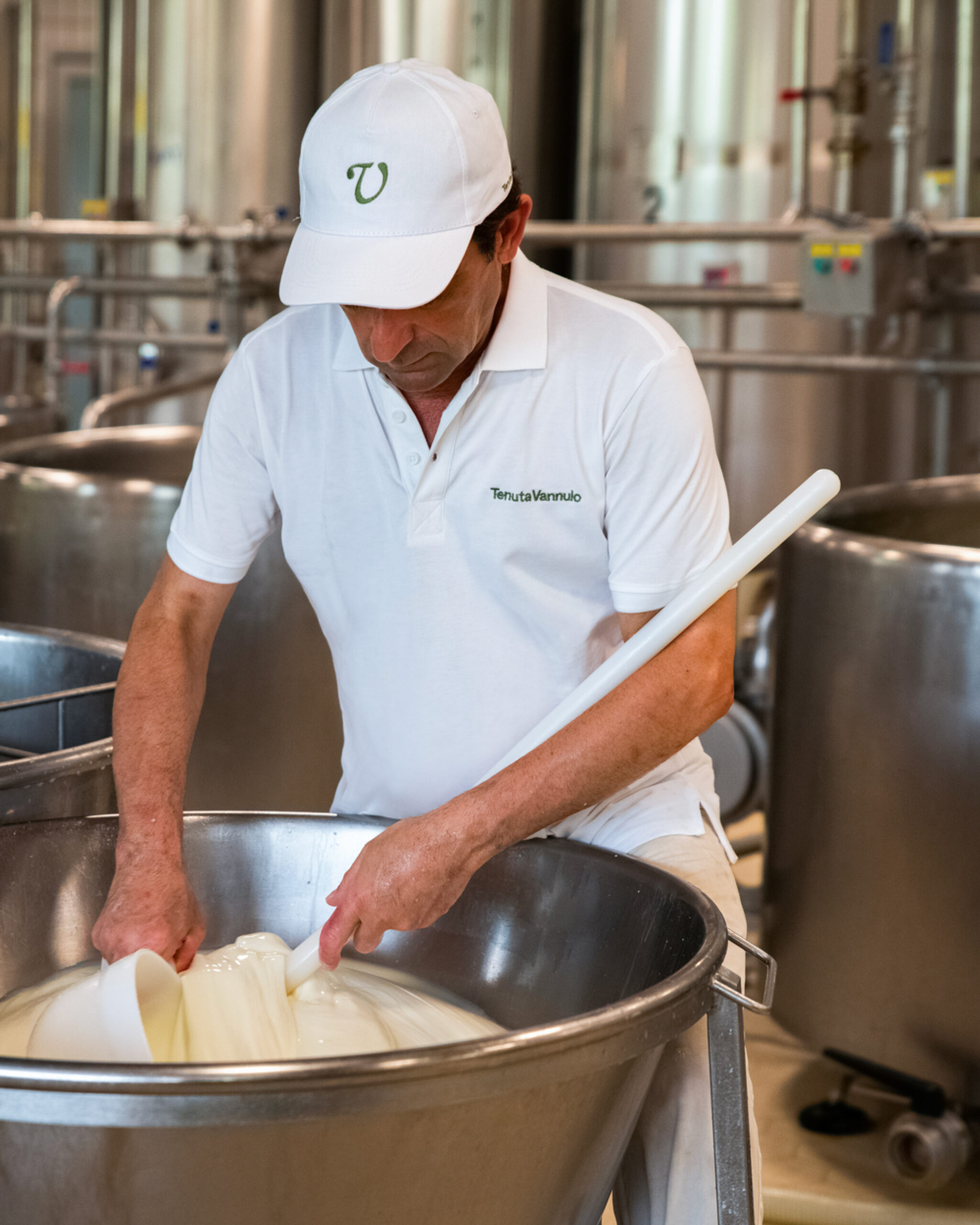 Vannulo Buffalo Farm & Paestum Archaeological Park Private Tour 