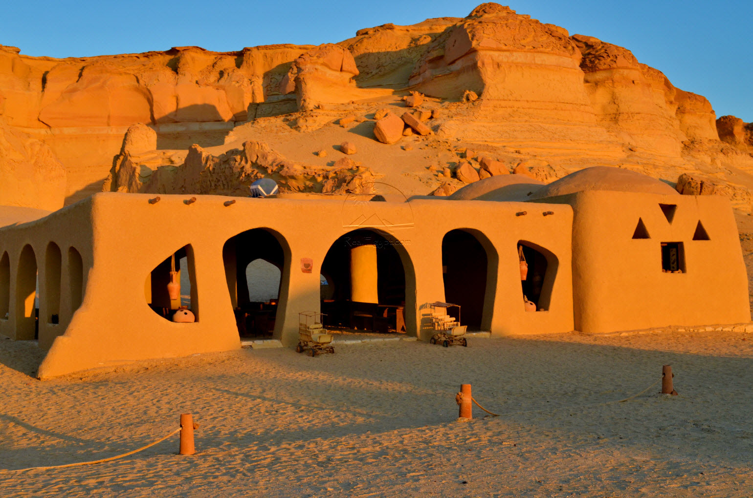 Trip to Wadi Al Hitan and Fayoum Oasis from Cairo